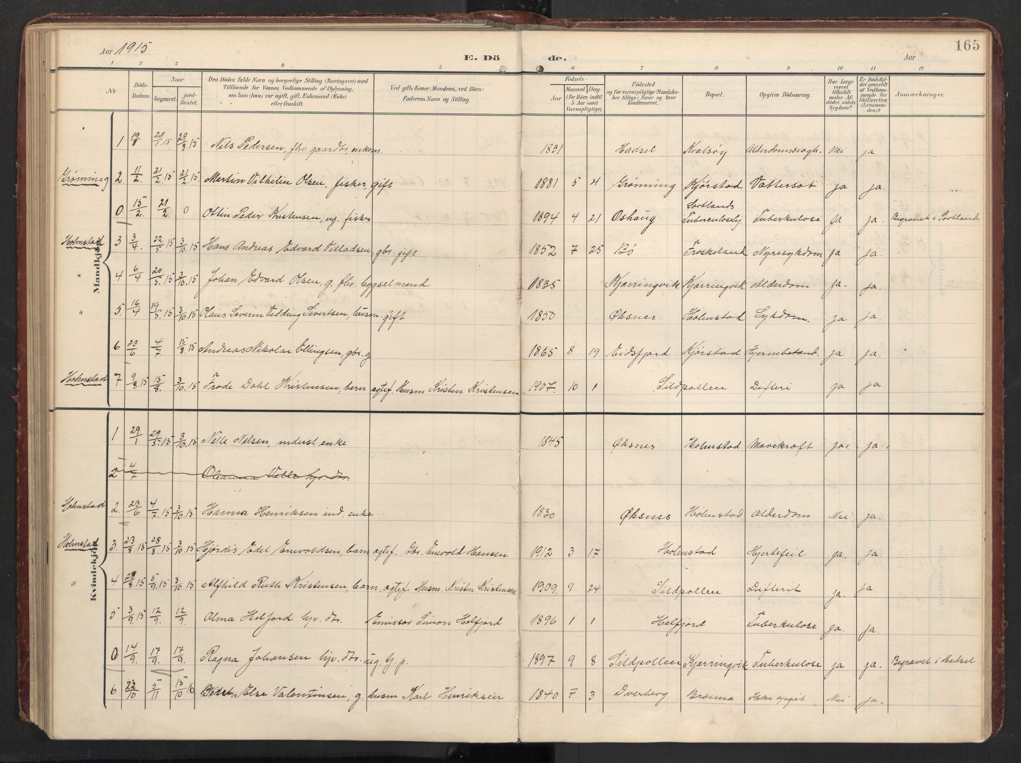 Ministerialprotokoller, klokkerbøker og fødselsregistre - Nordland, AV/SAT-A-1459/890/L1287: Ministerialbok nr. 890A02, 1903-1915, s. 165