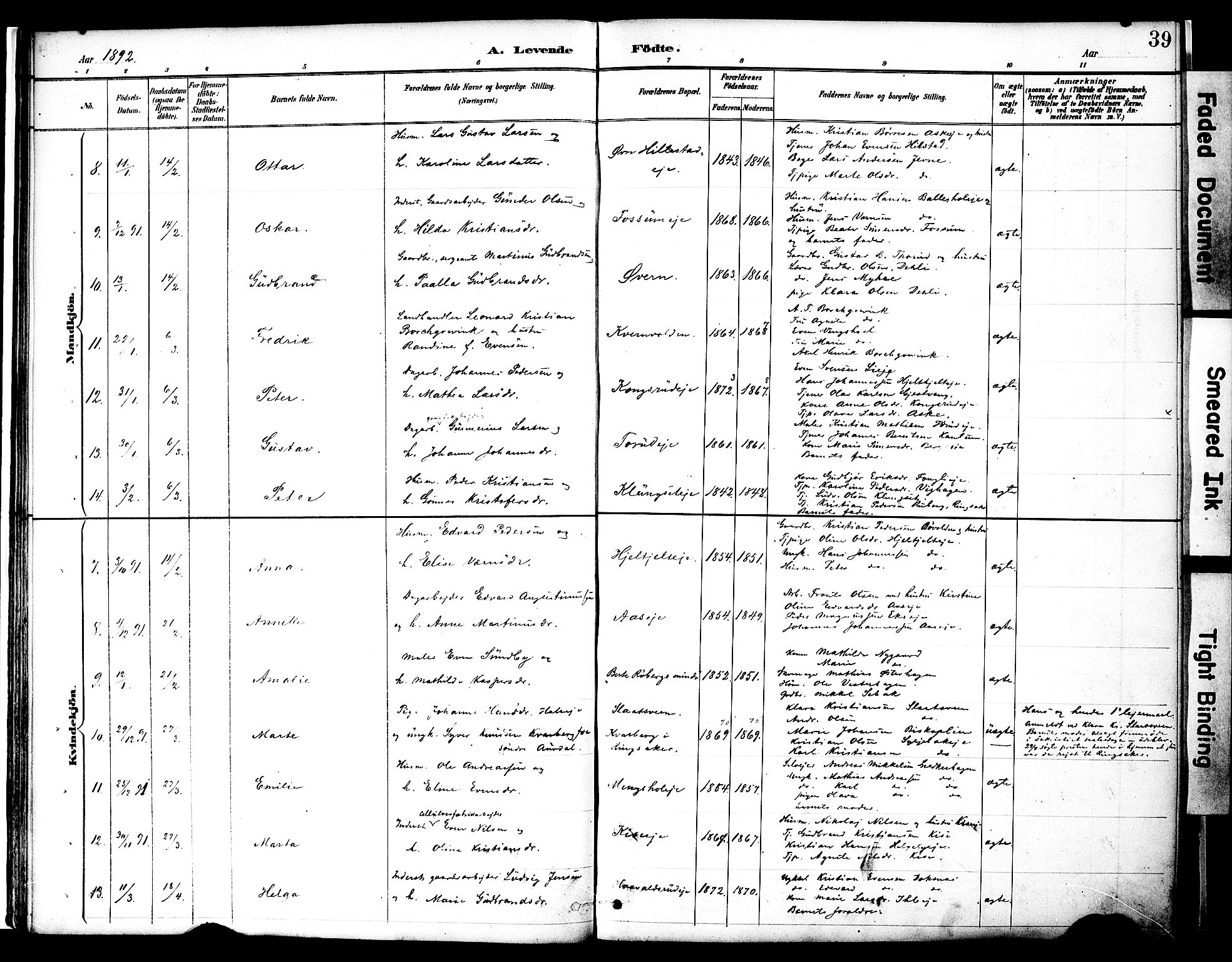 Nes prestekontor, Hedmark, AV/SAH-PREST-020/K/Ka/L0009: Ministerialbok nr. 9, 1887-1905, s. 39