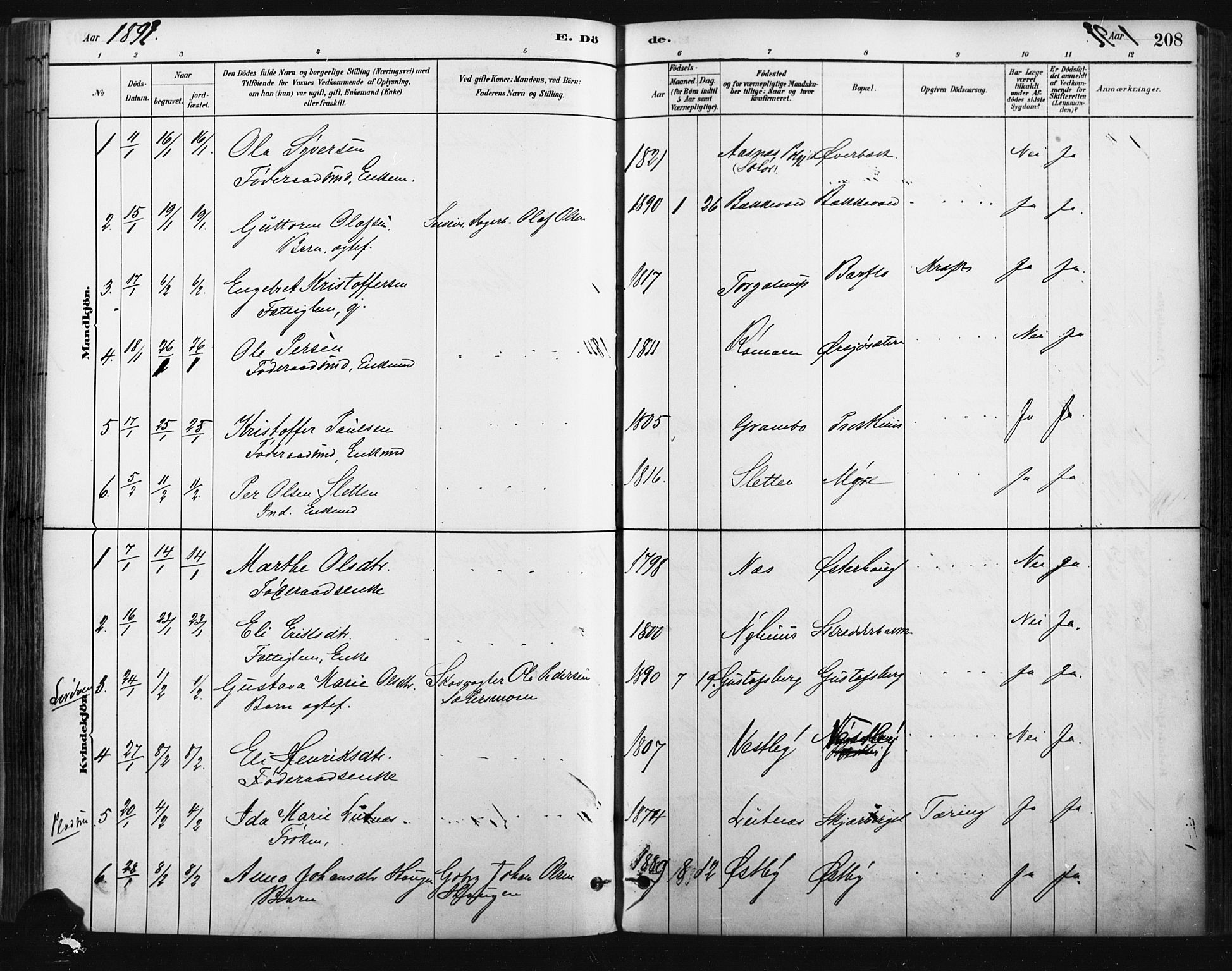 Trysil prestekontor, AV/SAH-PREST-046/H/Ha/Haa/L0009: Ministerialbok nr. 9, 1881-1897, s. 208