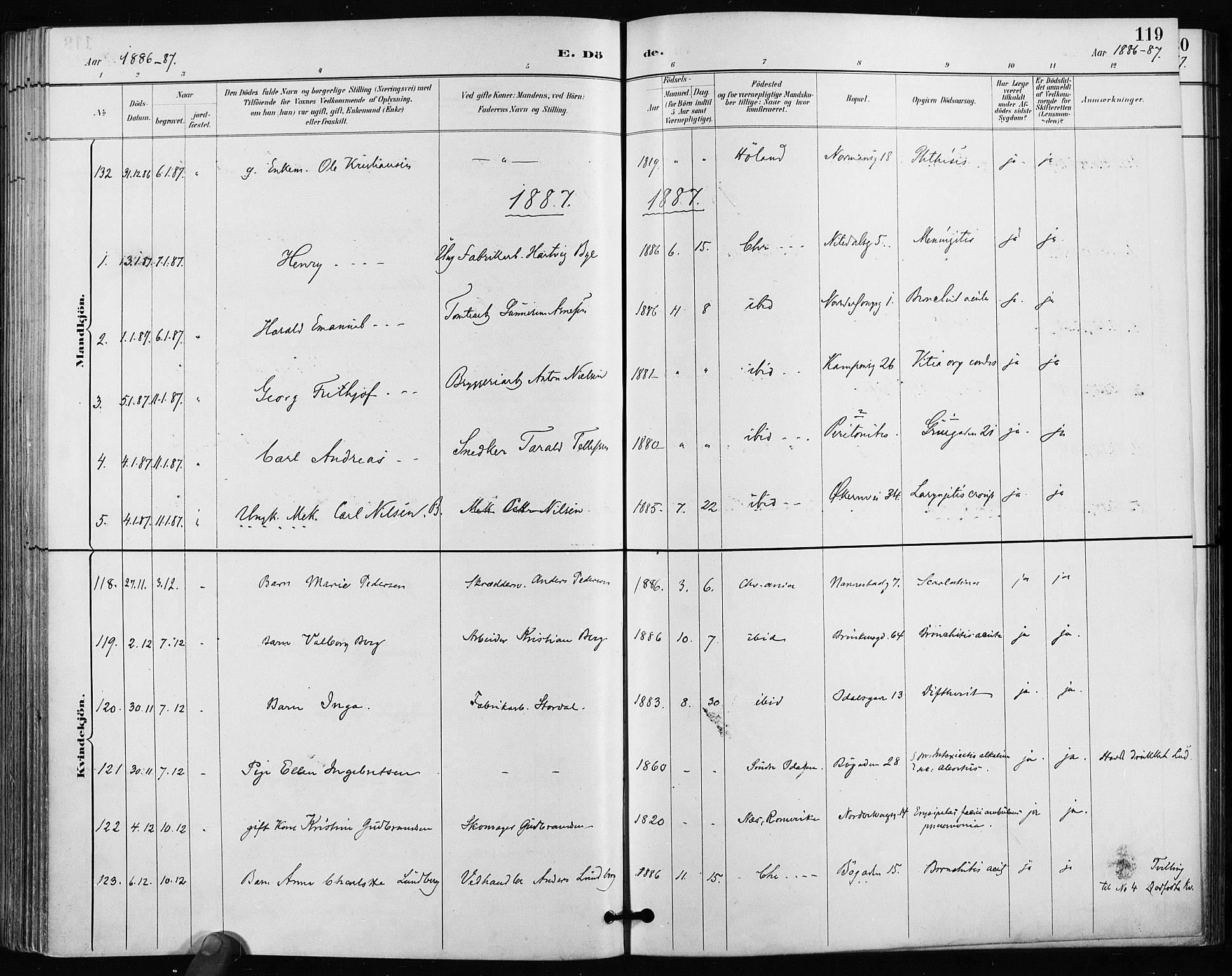 Kampen prestekontor Kirkebøker, SAO/A-10853/F/Fa/L0004: Ministerialbok nr. I 4, 1885-1892, s. 119