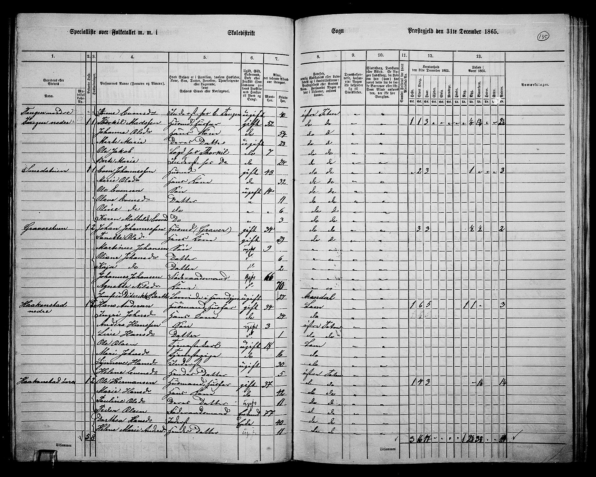 RA, Folketelling 1865 for 0528P Østre Toten prestegjeld, 1865, s. 251