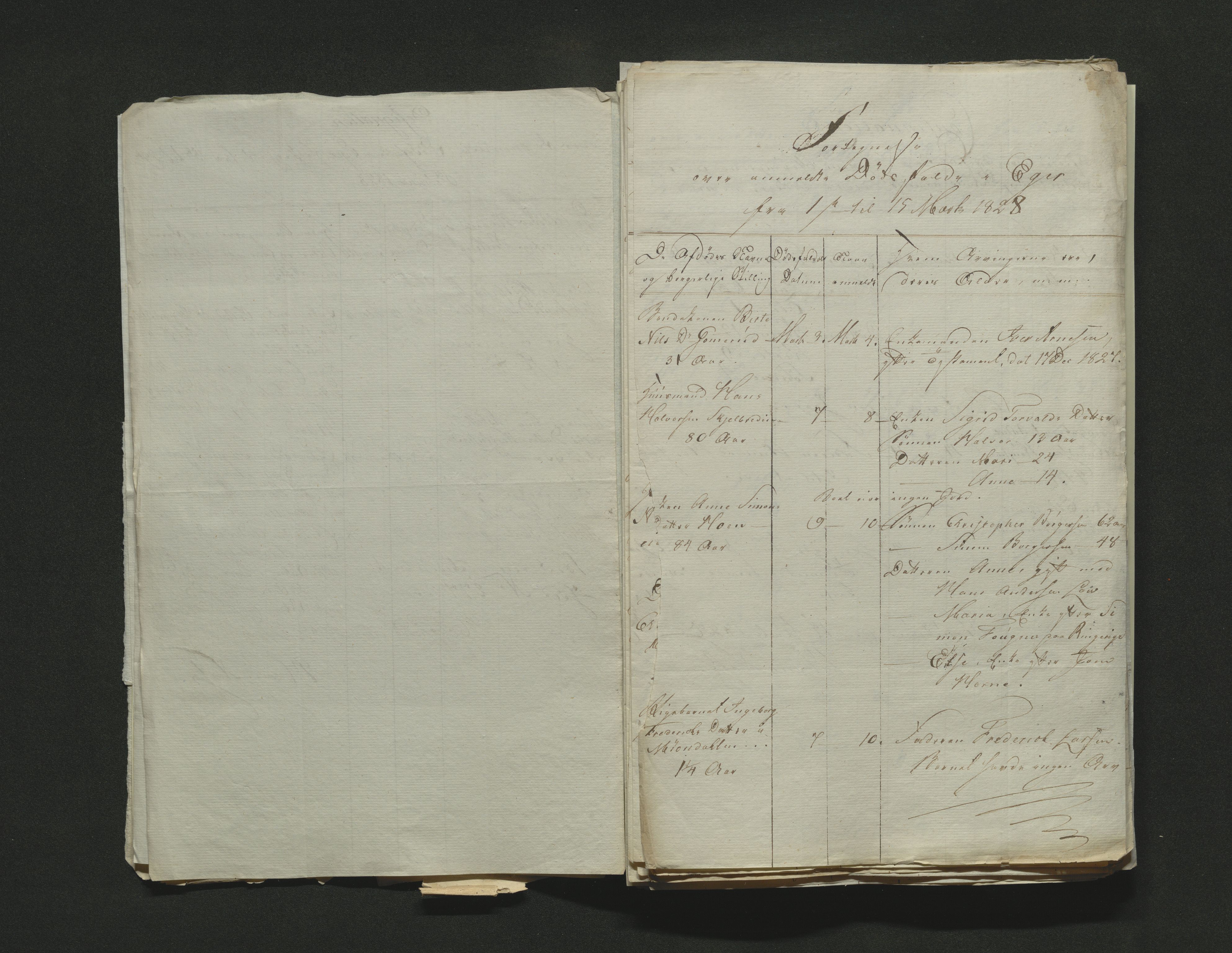Eiker, Modum og Sigdal sorenskriveri, AV/SAKO-A-123/H/Ha/Hab/L0002: Dødsfallsmeldinger, 1823-1829, s. 248
