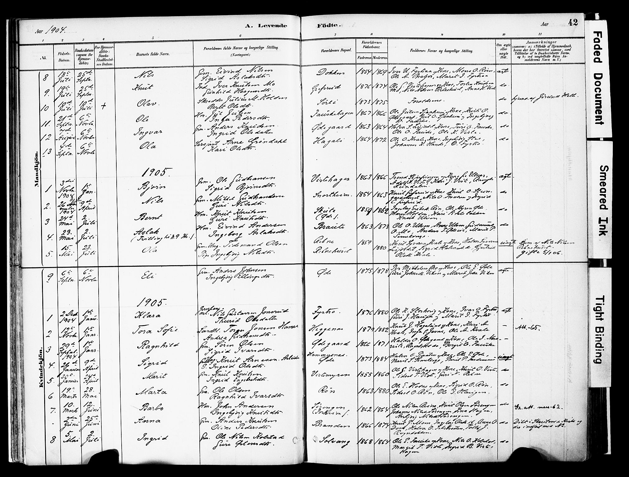 Vestre Slidre prestekontor, AV/SAH-PREST-136/H/Ha/Haa/L0006: Ministerialbok nr. 6, 1881-1912, s. 42
