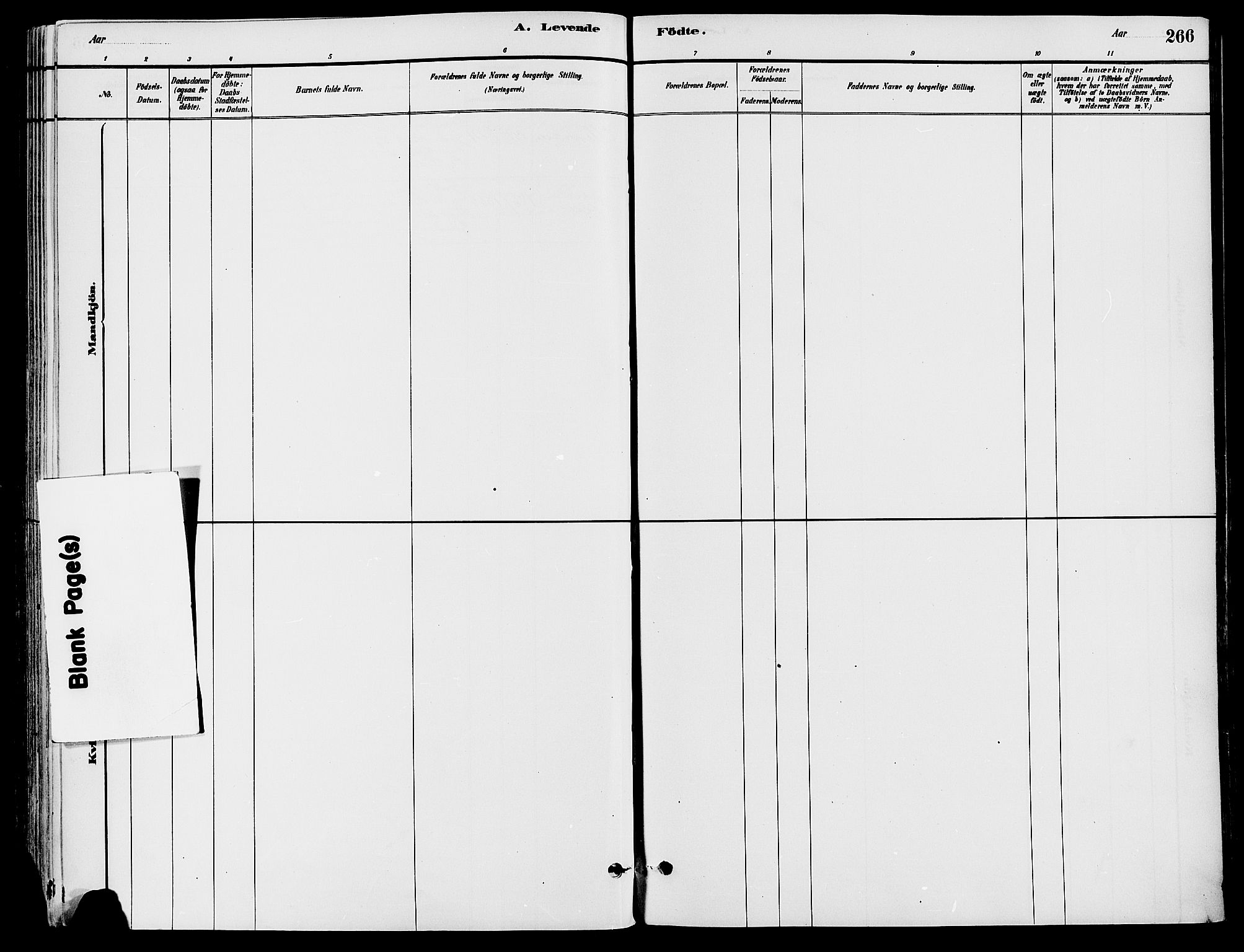 Trysil prestekontor, AV/SAH-PREST-046/H/Ha/Haa/L0008: Ministerialbok nr. 8, 1881-1897, s. 266