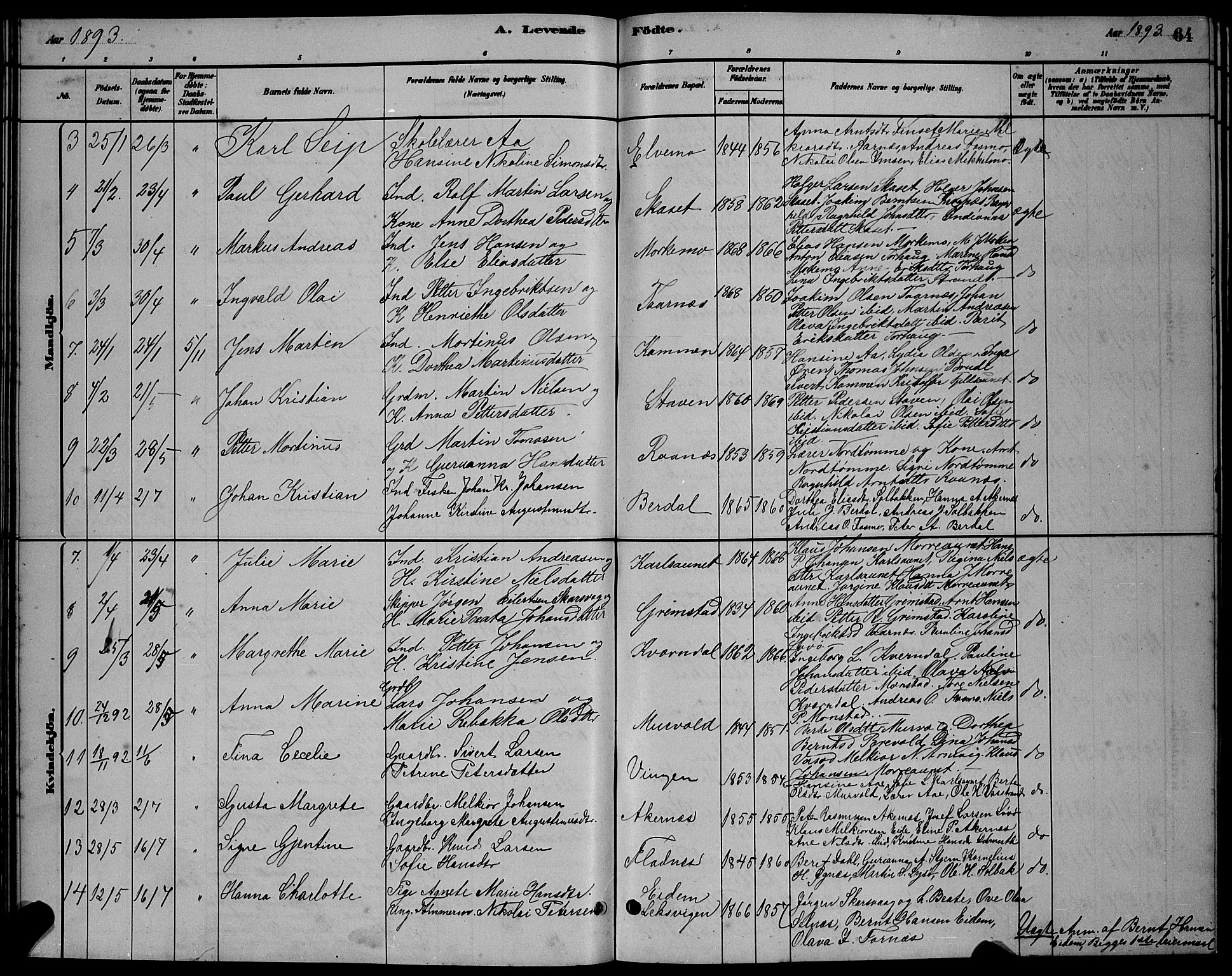 Ministerialprotokoller, klokkerbøker og fødselsregistre - Sør-Trøndelag, SAT/A-1456/655/L0687: Klokkerbok nr. 655C03, 1880-1898, s. 64