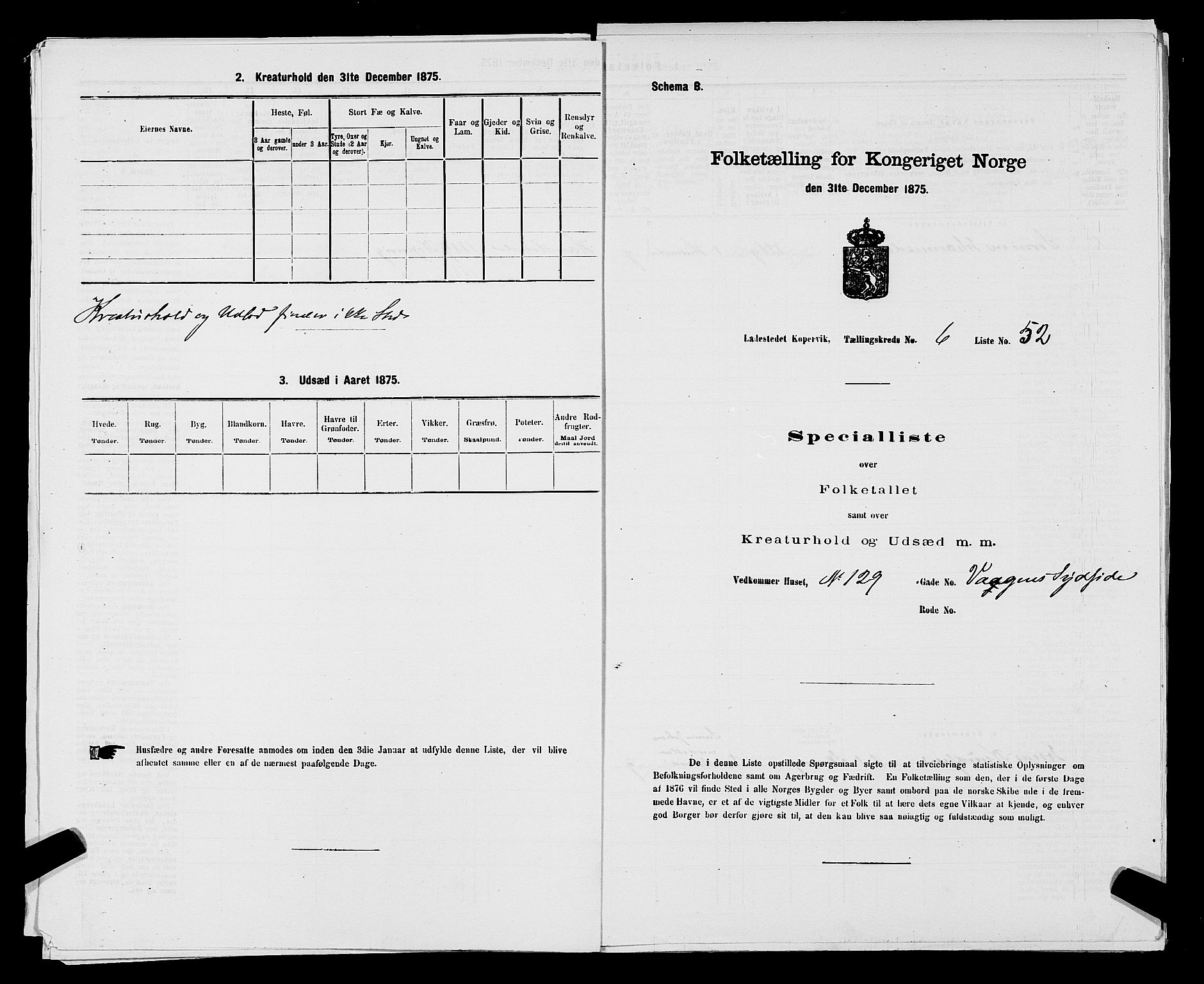 SAST, Folketelling 1875 for 1105B Avaldsnes prestegjeld, Kopervik ladested, 1875, s. 102