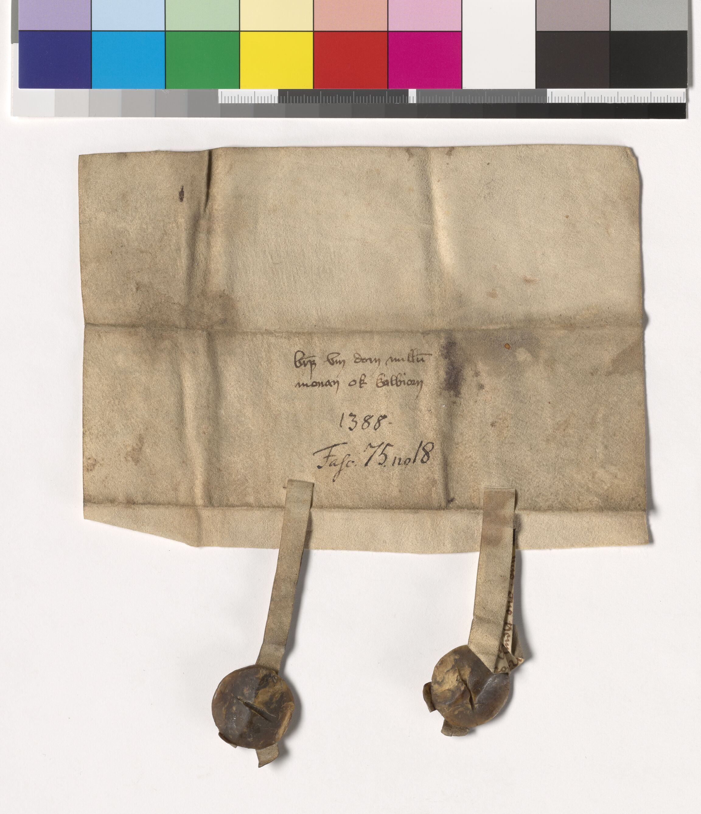 Riksarkivets diplomsamling, AV/RA-EA-5965/F05/L0186: NRA AM fasc. 75 nr. 14-19, 1388, s. 9