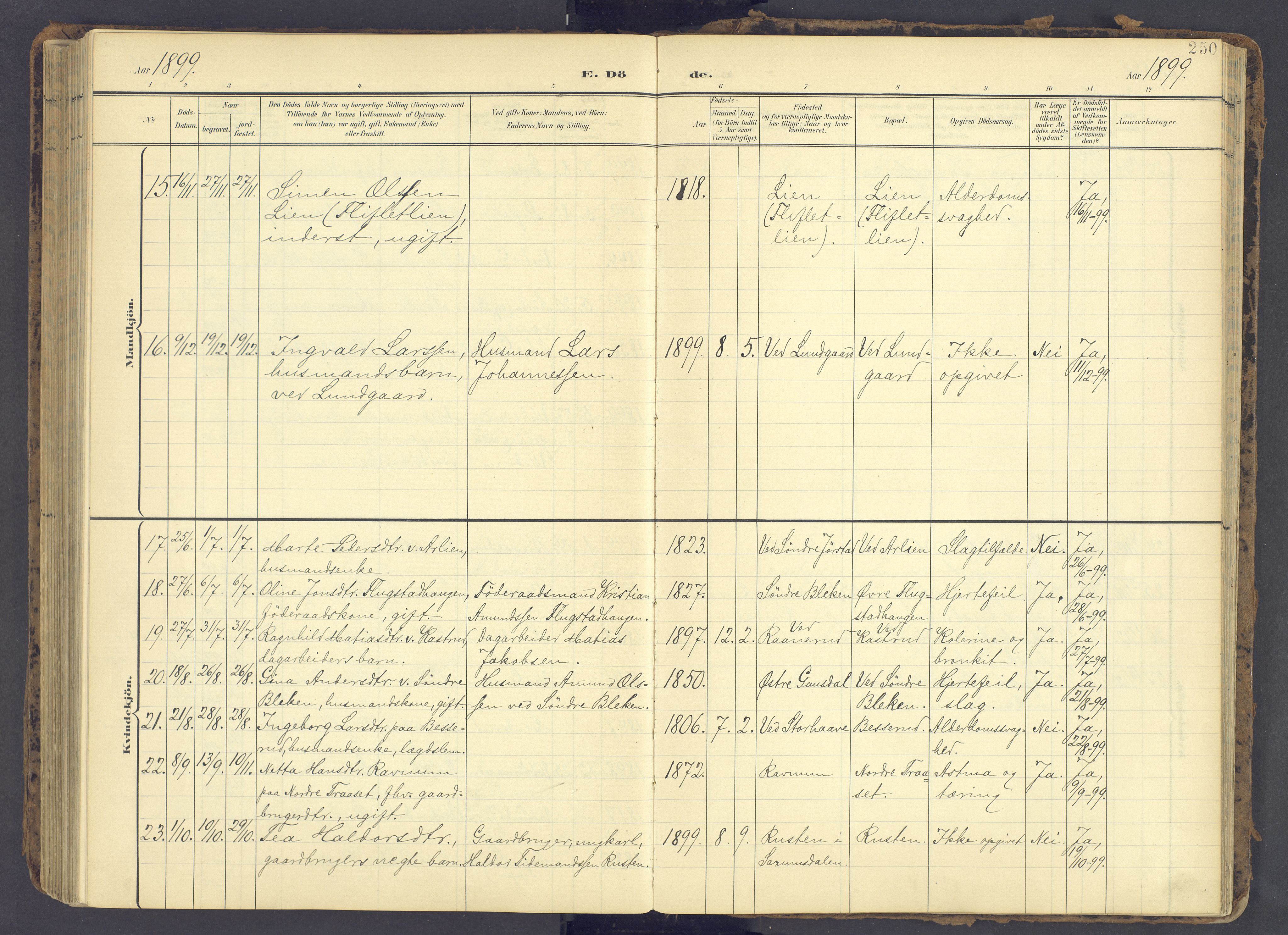 Fåberg prestekontor, AV/SAH-PREST-086/H/Ha/Haa/L0012: Ministerialbok nr. 12, 1899-1915, s. 250