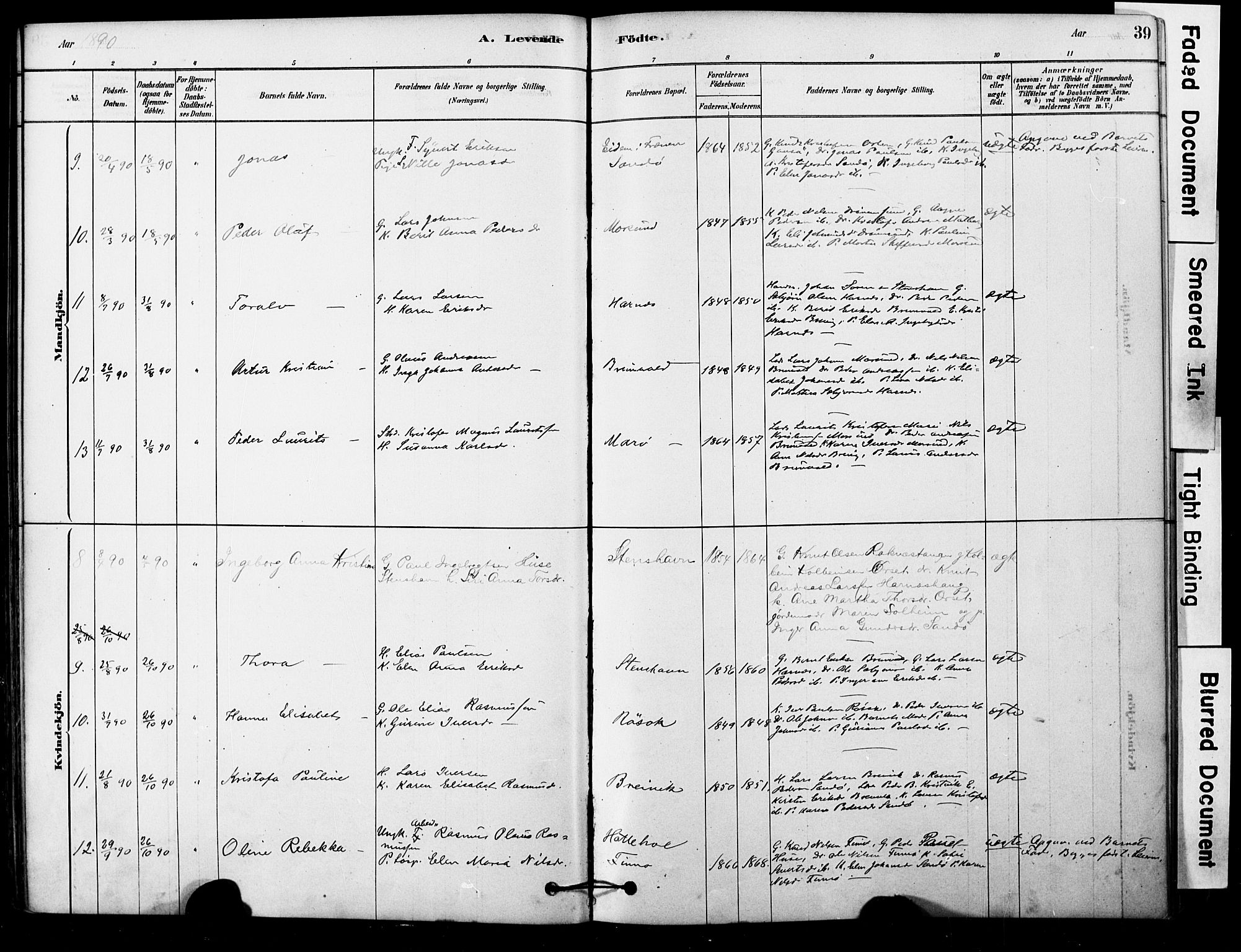 Ministerialprotokoller, klokkerbøker og fødselsregistre - Møre og Romsdal, SAT/A-1454/561/L0729: Ministerialbok nr. 561A03, 1878-1900, s. 39
