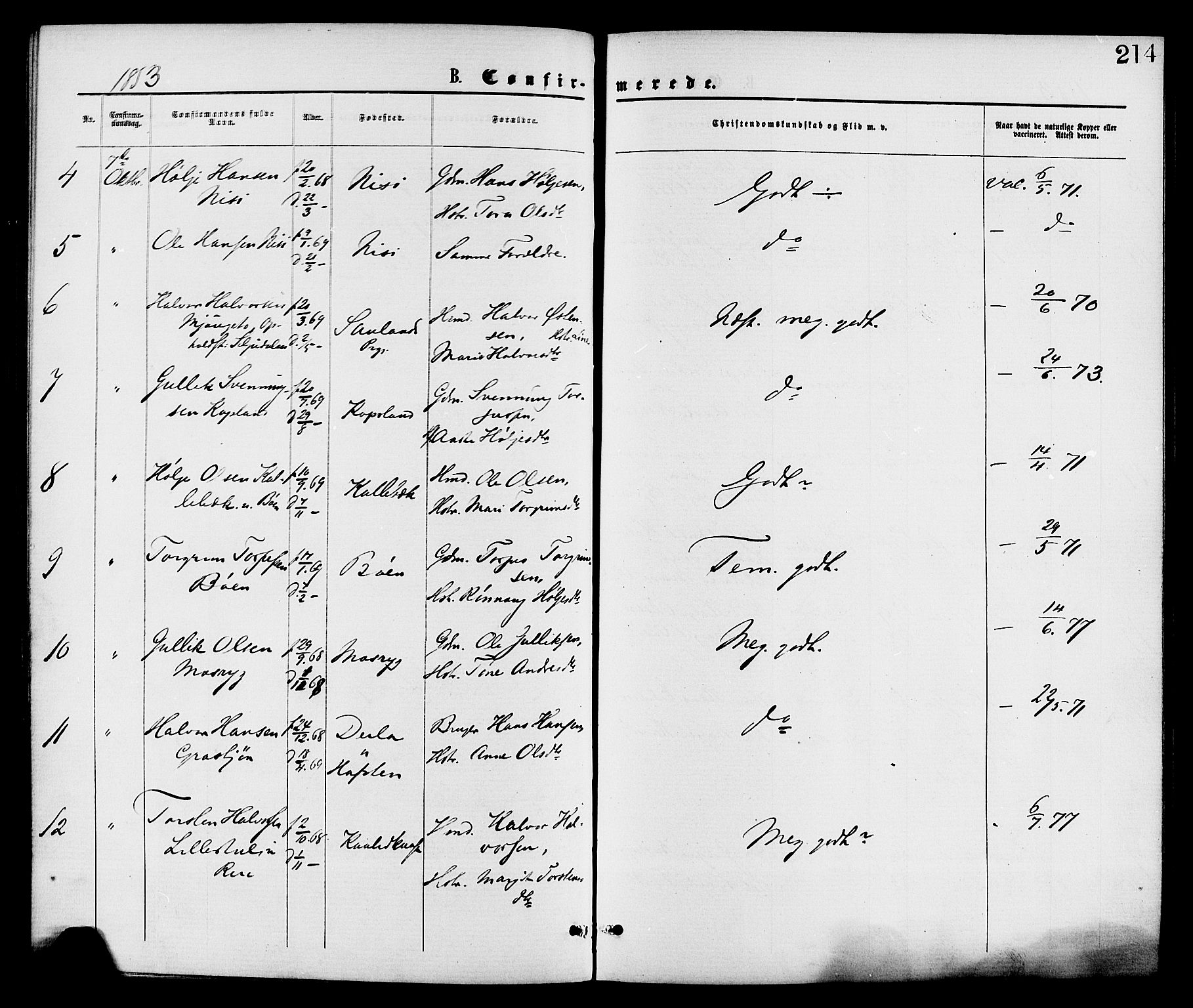 Gransherad kirkebøker, AV/SAKO-A-267/F/Fa/L0004: Ministerialbok nr. I 4, 1871-1886, s. 214