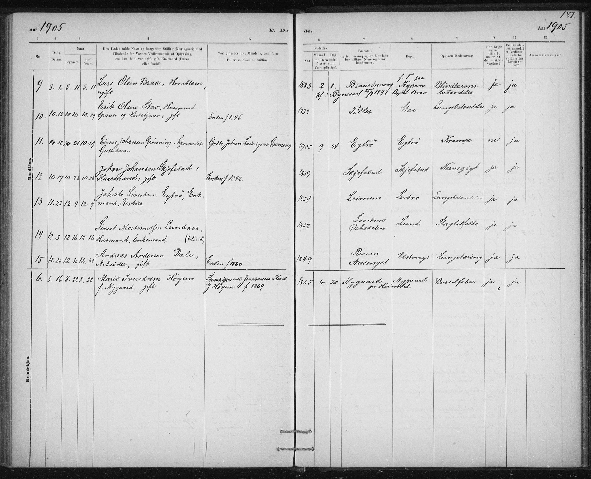 Ministerialprotokoller, klokkerbøker og fødselsregistre - Sør-Trøndelag, AV/SAT-A-1456/613/L0392: Ministerialbok nr. 613A01, 1887-1906, s. 181