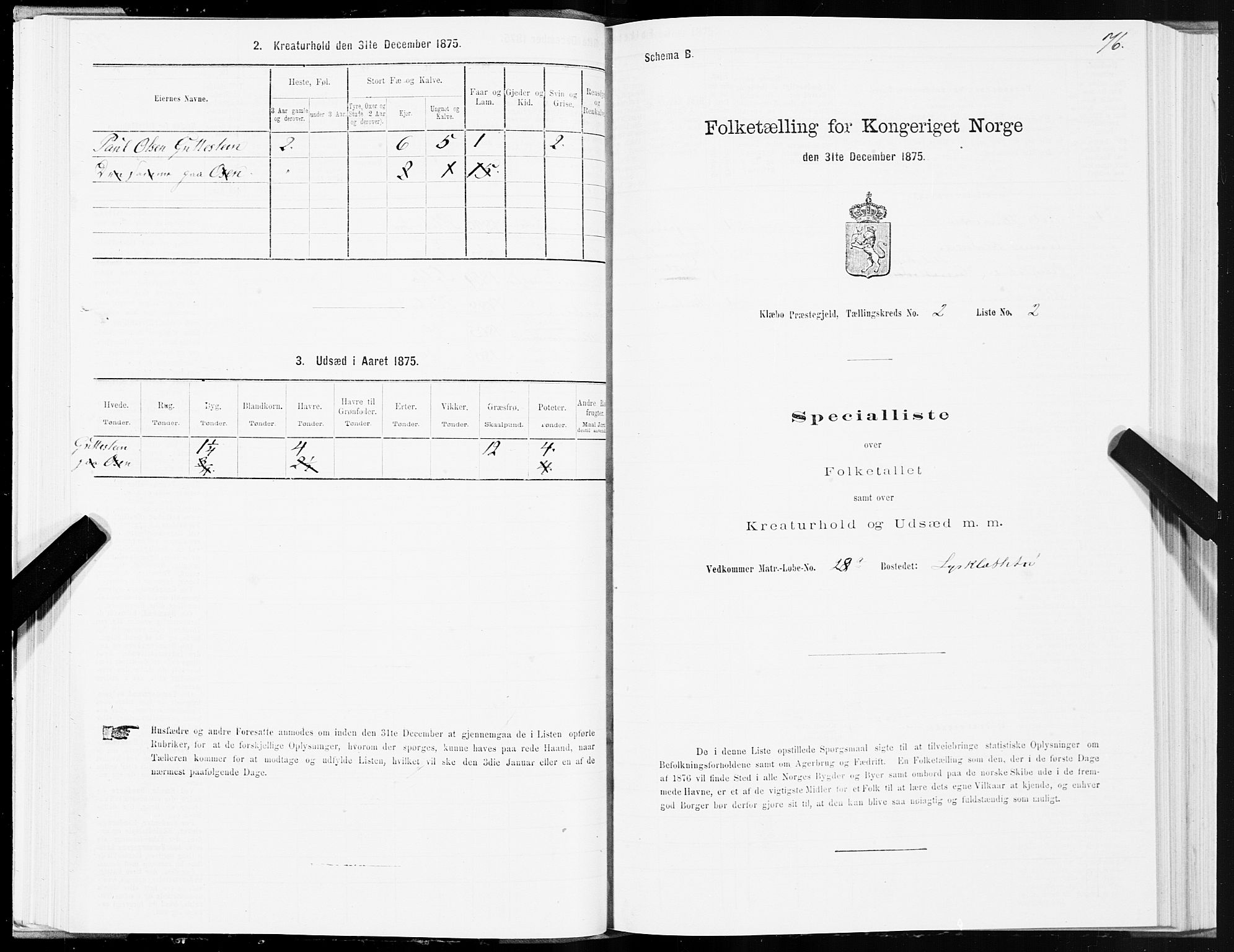 SAT, Folketelling 1875 for 1662P Klæbu prestegjeld, 1875, s. 1076