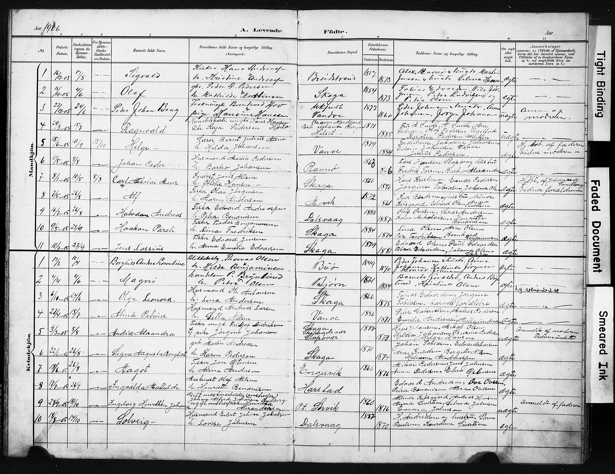 Ministerialprotokoller, klokkerbøker og fødselsregistre - Nordland, AV/SAT-A-1459/836/L0538: Klokkerbok nr. 836C02, 1901-1917