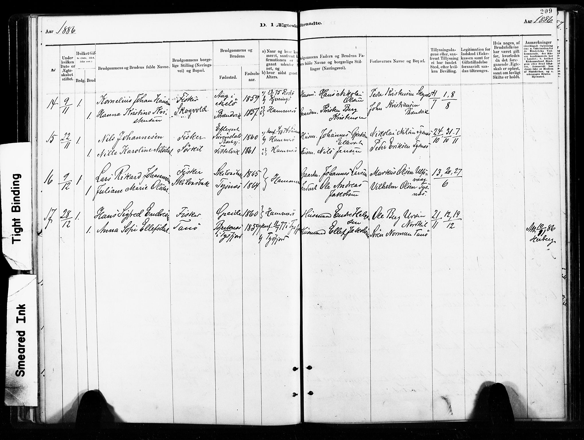 Ministerialprotokoller, klokkerbøker og fødselsregistre - Nordland, AV/SAT-A-1459/859/L0846: Ministerialbok nr. 859A06, 1878-1889, s. 209