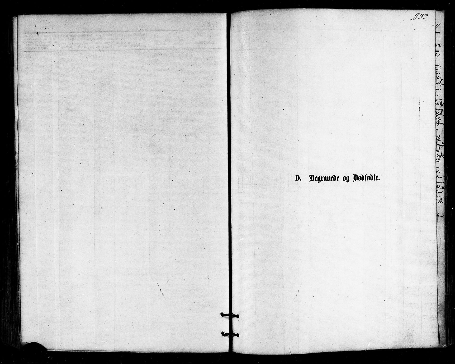 Ministerialprotokoller, klokkerbøker og fødselsregistre - Nordland, SAT/A-1459/813/L0199: Ministerialbok nr. 813A09, 1875-1885, s. 233