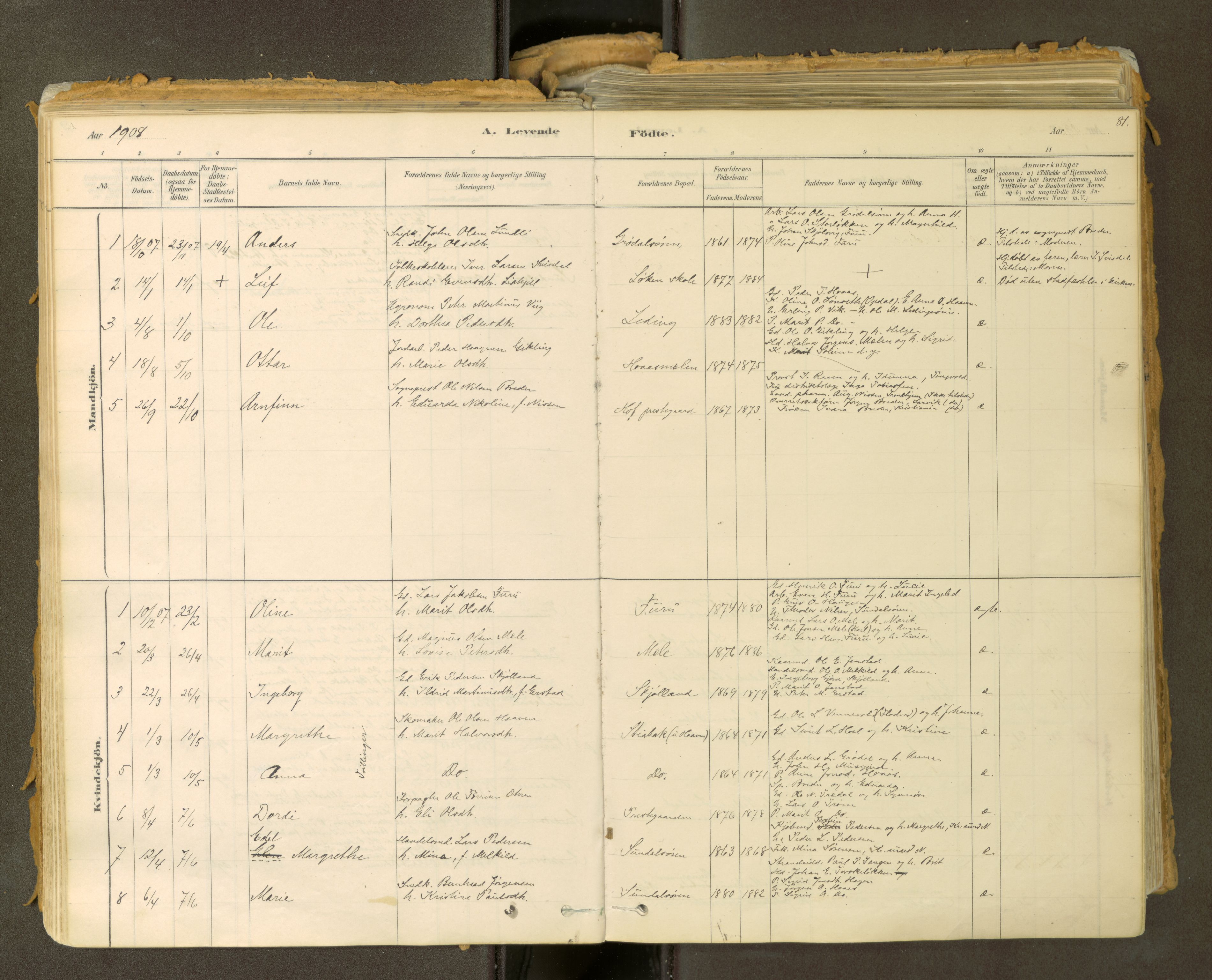 Sunndal sokneprestkontor, SAT/A-1085/1/I/I1/I1a: Ministerialbok nr. 2, 1877-1914, s. 81