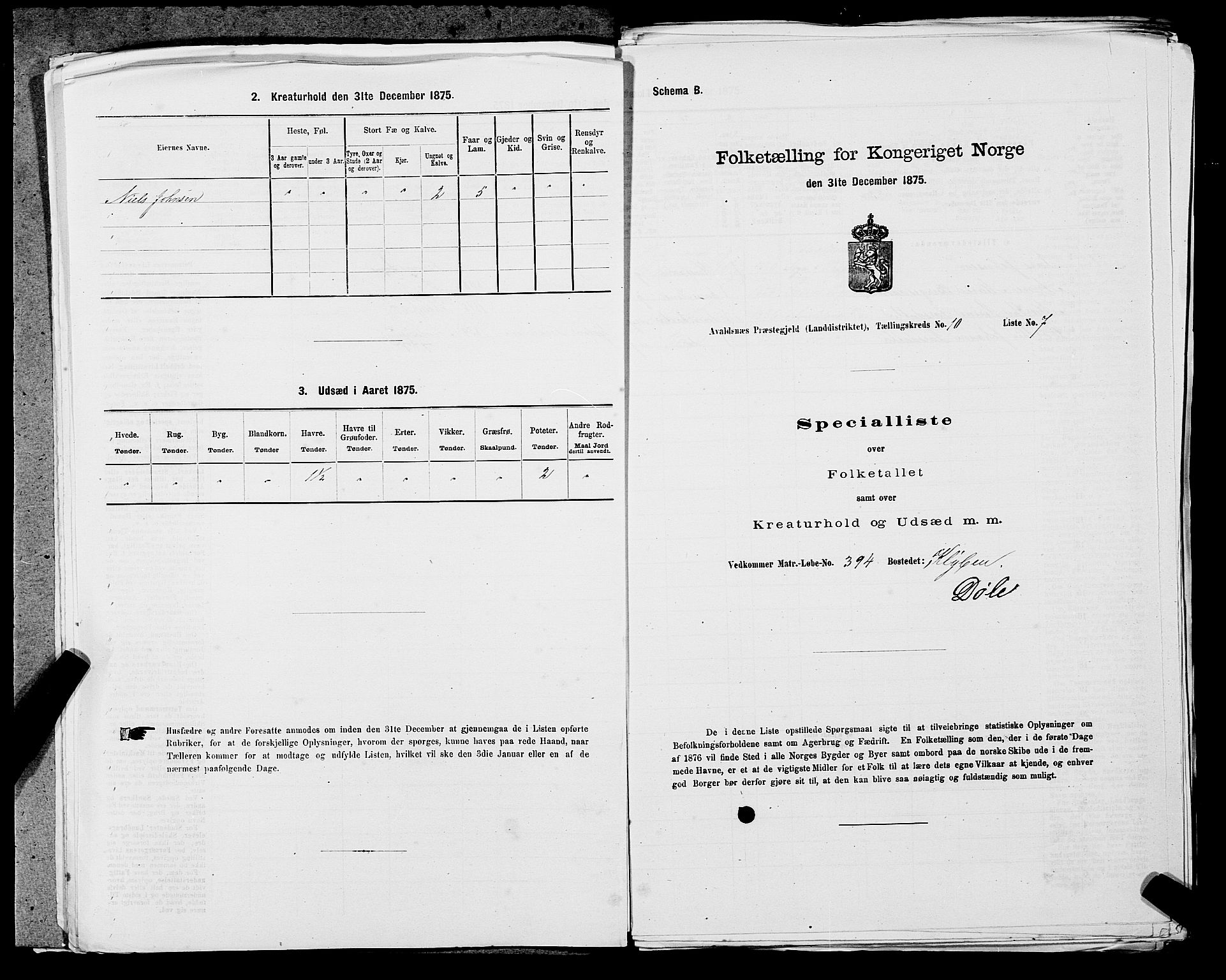 SAST, Folketelling 1875 for 1147L Avaldsnes prestegjeld, Avaldsnes sokn og Kopervik landsokn, 1875, s. 1718