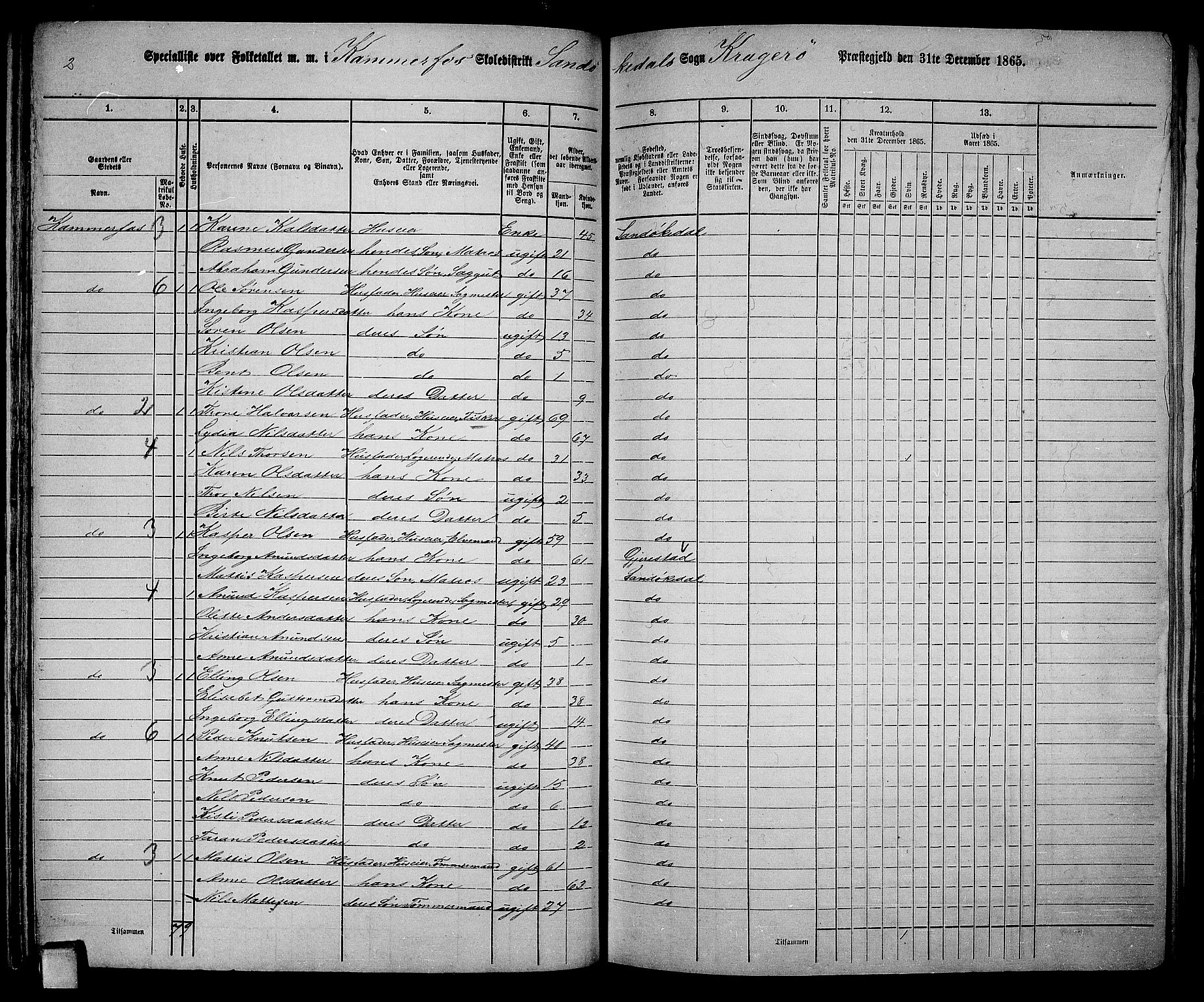 RA, Folketelling 1865 for 0816L Kragerø prestegjeld, Sannidal sokn og Skåtøy sokn, 1865, s. 79