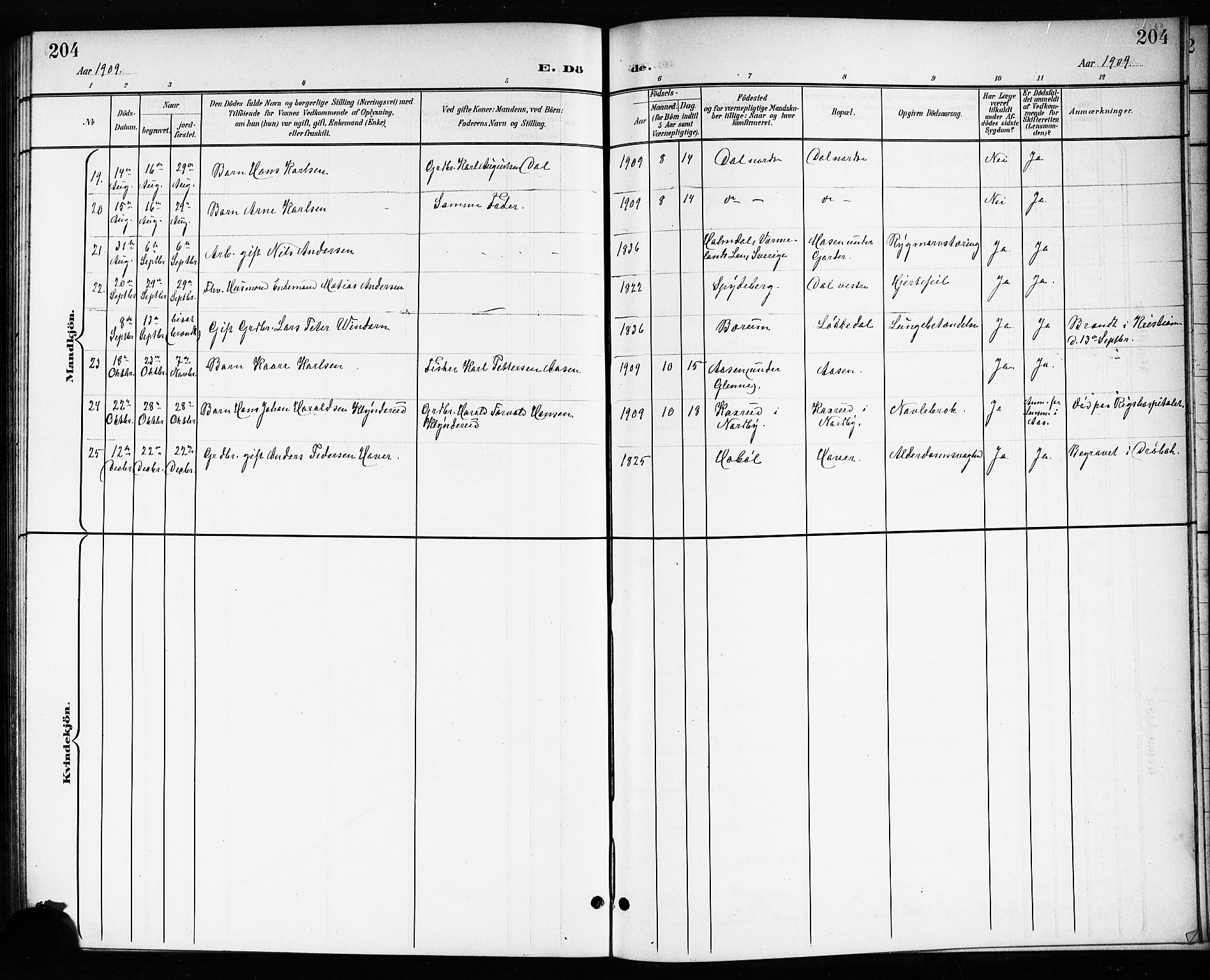 Drøbak prestekontor Kirkebøker, AV/SAO-A-10142a/G/Gb/L0001: Klokkerbok nr. II 1, 1901-1919, s. 204