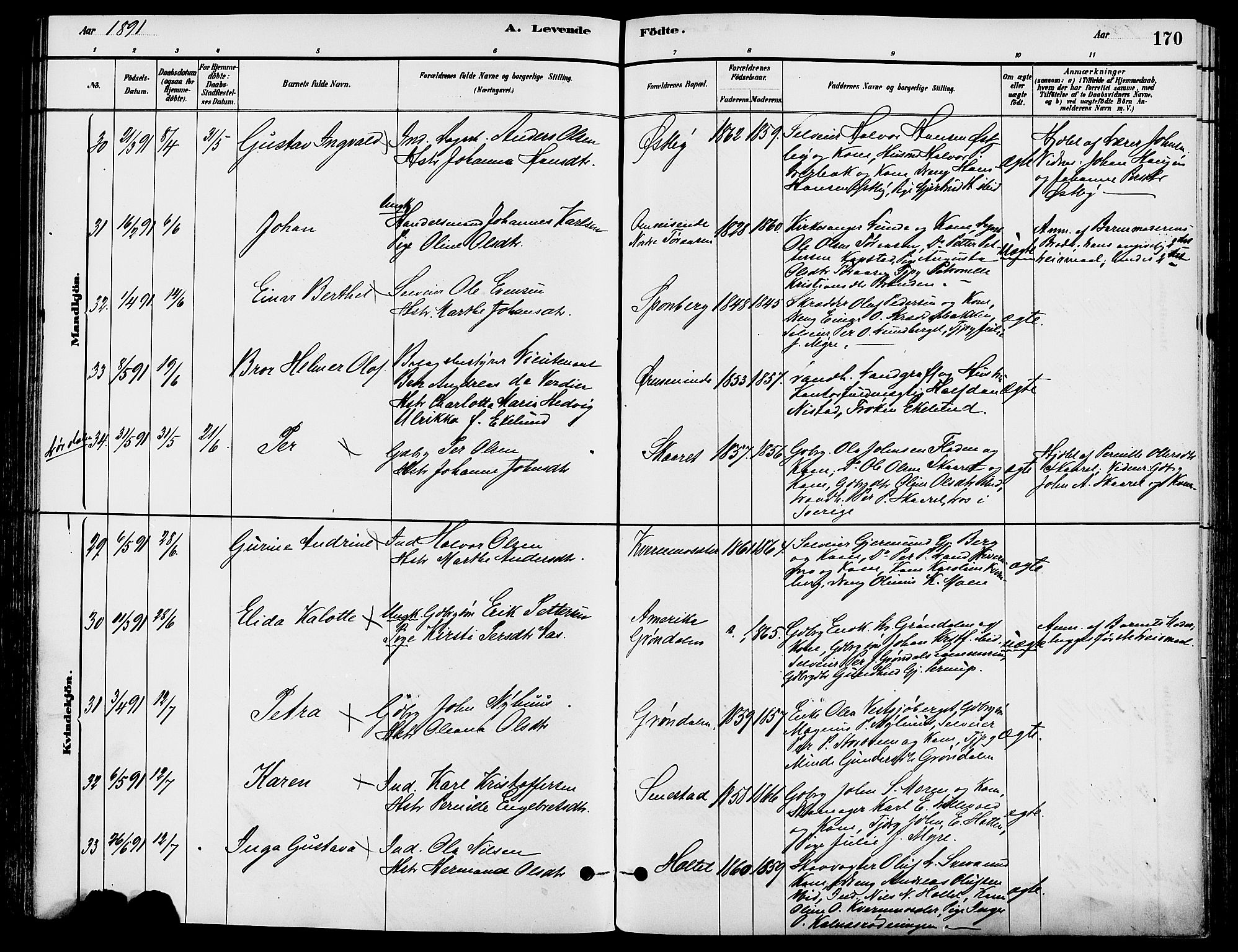 Trysil prestekontor, AV/SAH-PREST-046/H/Ha/Haa/L0008: Ministerialbok nr. 8, 1881-1897, s. 170