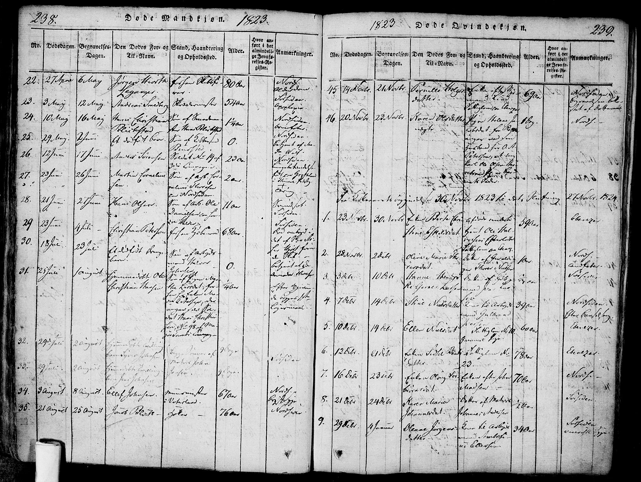 Halden prestekontor Kirkebøker, AV/SAO-A-10909/F/Fa/L0003: Ministerialbok nr. I 3, 1815-1834, s. 238-239