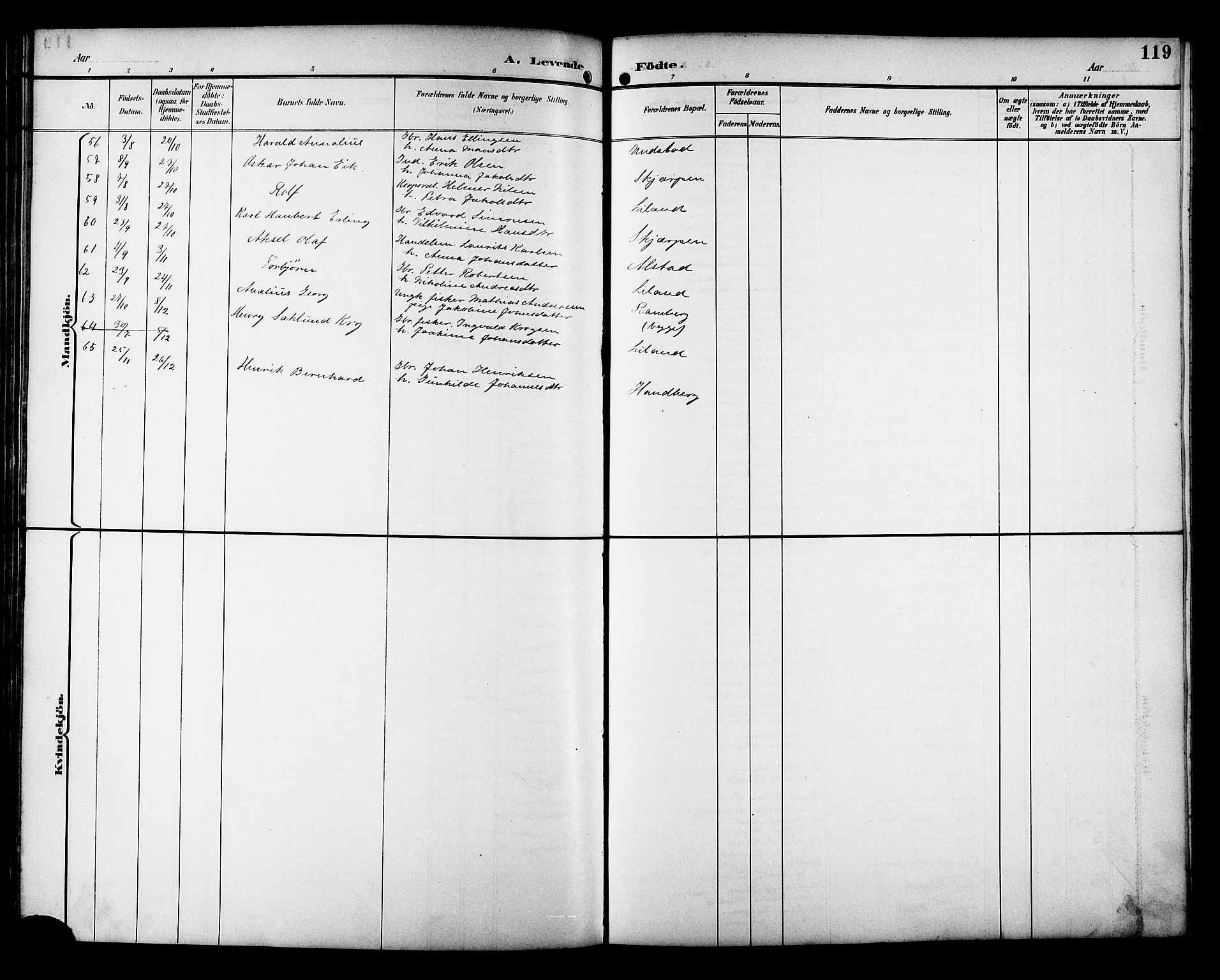 Ministerialprotokoller, klokkerbøker og fødselsregistre - Nordland, AV/SAT-A-1459/880/L1141: Klokkerbok nr. 880C03, 1893-1928, s. 119