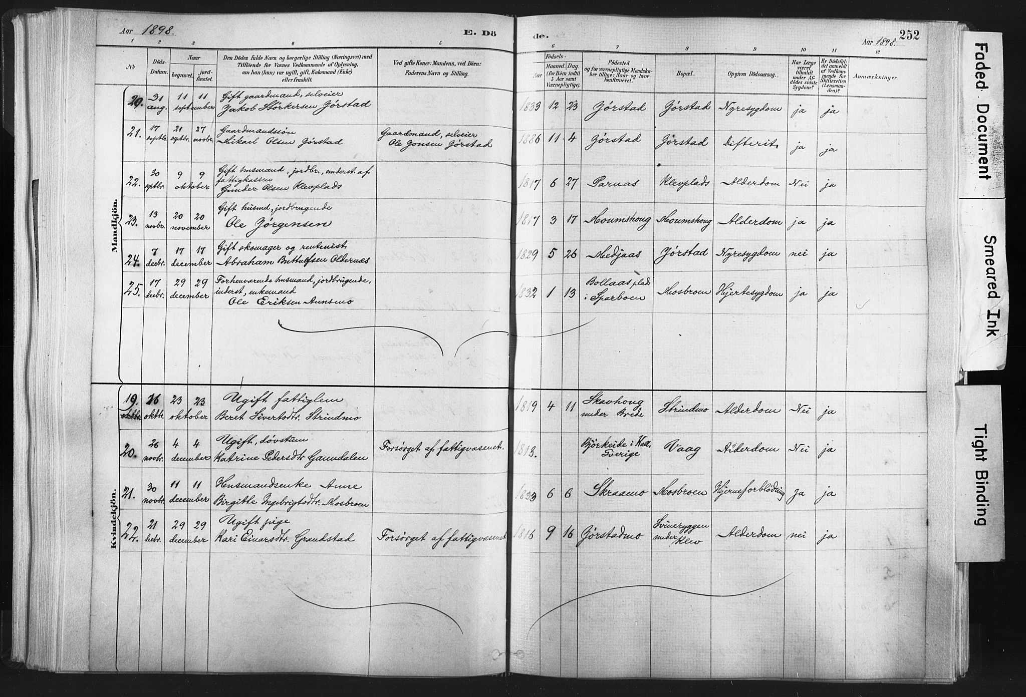 Ministerialprotokoller, klokkerbøker og fødselsregistre - Nord-Trøndelag, SAT/A-1458/749/L0474: Ministerialbok nr. 749A08, 1887-1903, s. 252