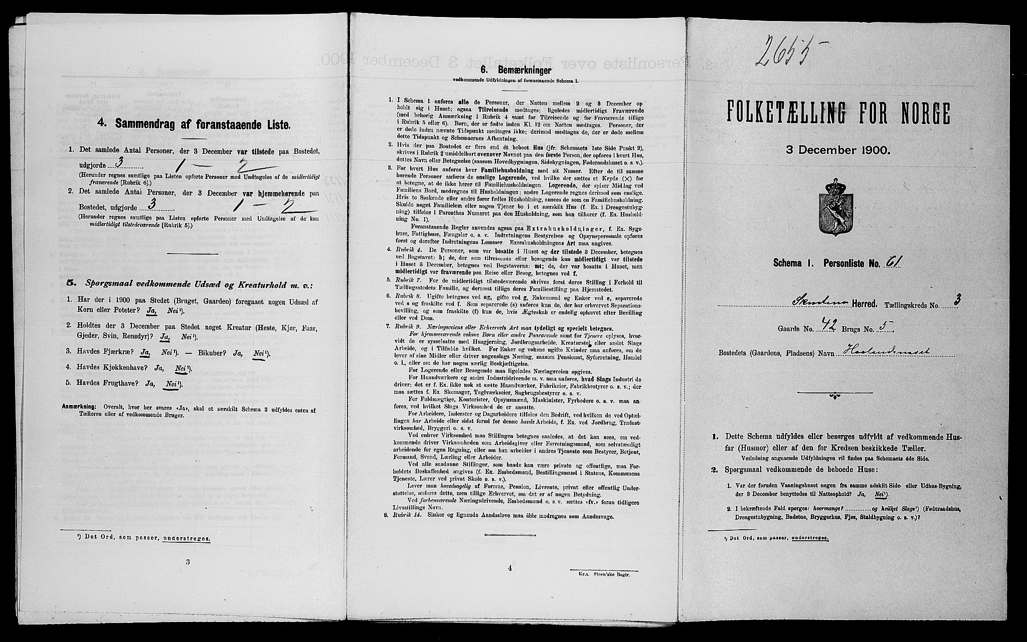 SAST, Folketelling 1900 for 1150 Skudenes herred, 1900, s. 479
