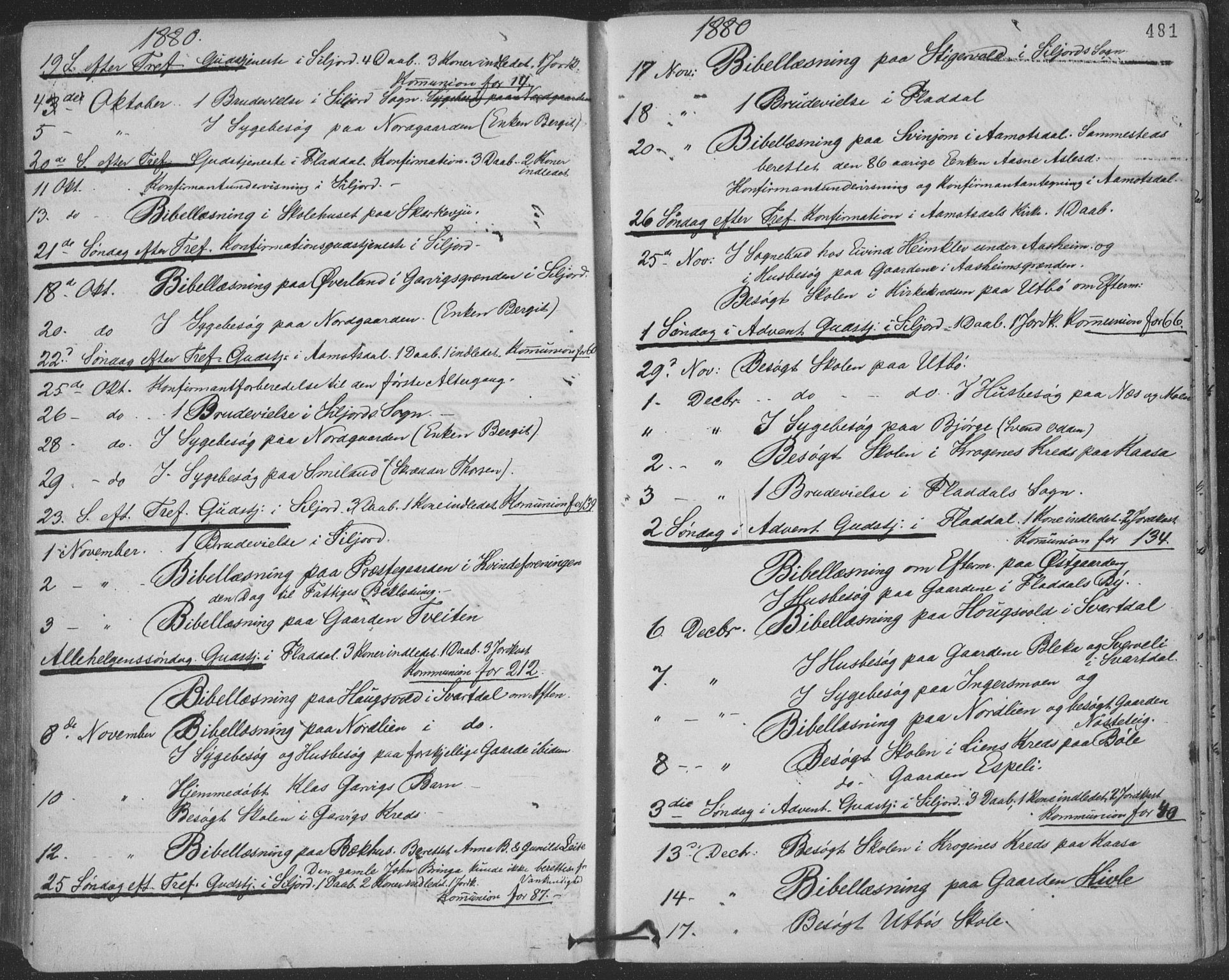 Seljord kirkebøker, AV/SAKO-A-20/F/Fa/L0014: Ministerialbok nr. I 14, 1877-1886, s. 481