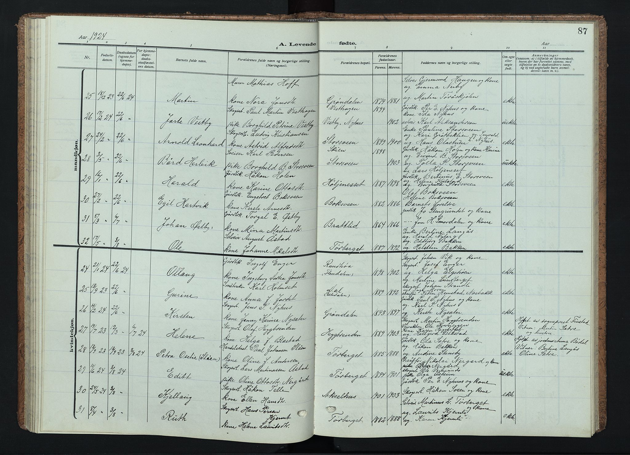 Trysil prestekontor, AV/SAH-PREST-046/H/Ha/Haa/L0015: Ministerialbok nr. 15, 1913-1934, s. 87