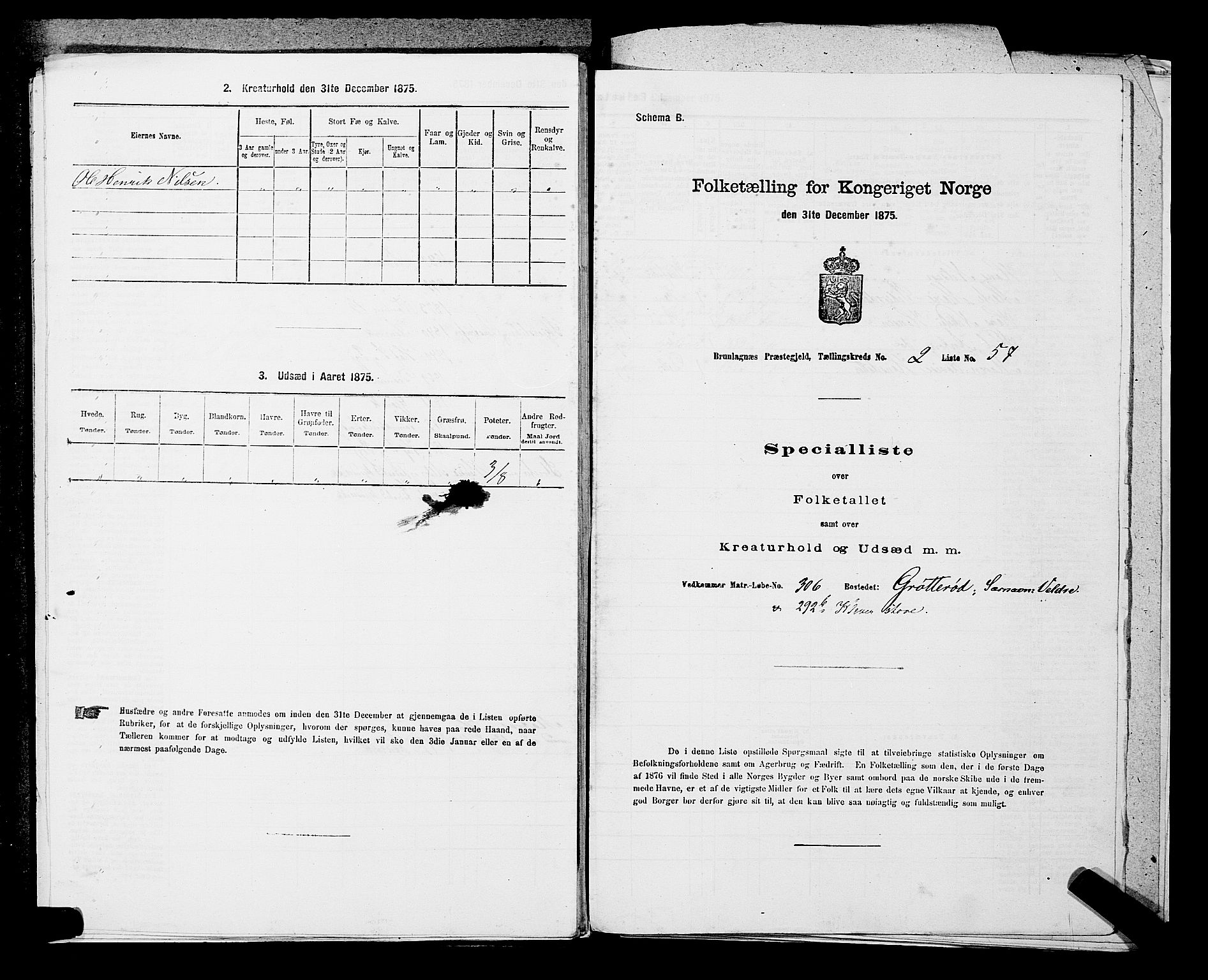 SAKO, Folketelling 1875 for 0726P Brunlanes prestegjeld, 1875, s. 317