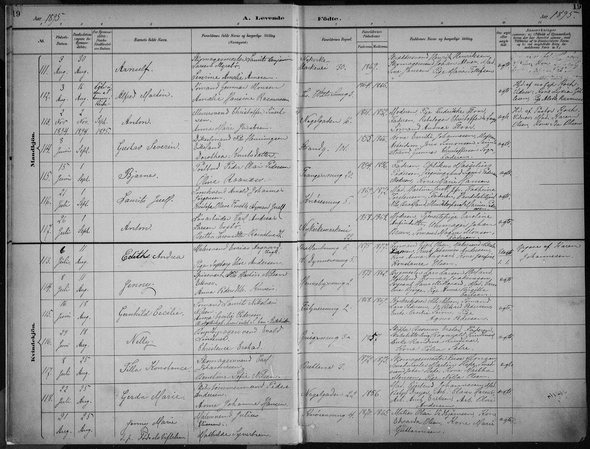 Nykirken Sokneprestembete, AV/SAB-A-77101/H/Haa/L0018: Ministerialbok nr. B 6, 1895-1903, s. 19