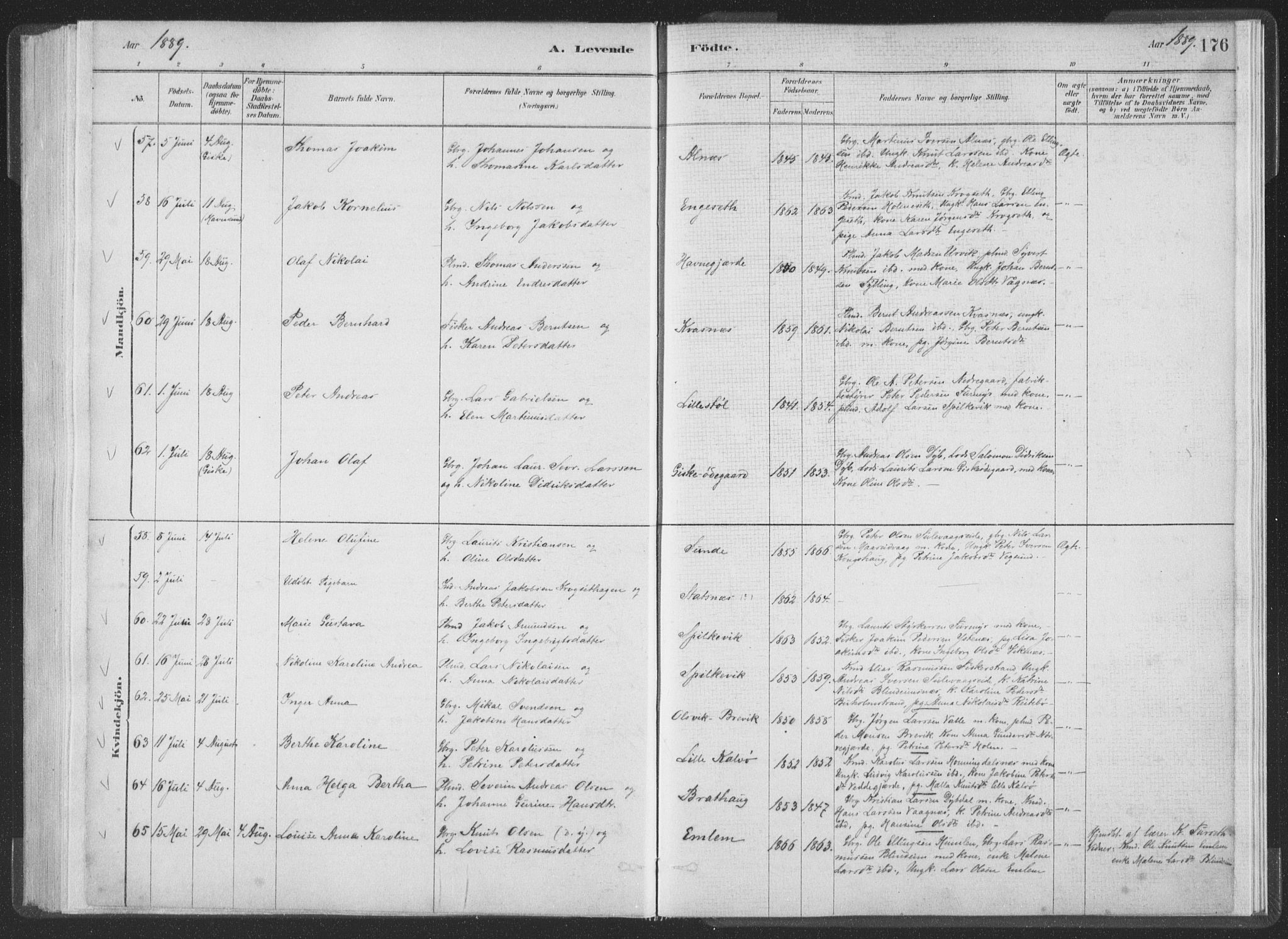 Ministerialprotokoller, klokkerbøker og fødselsregistre - Møre og Romsdal, AV/SAT-A-1454/528/L0401: Ministerialbok nr. 528A12I, 1880-1920, s. 176