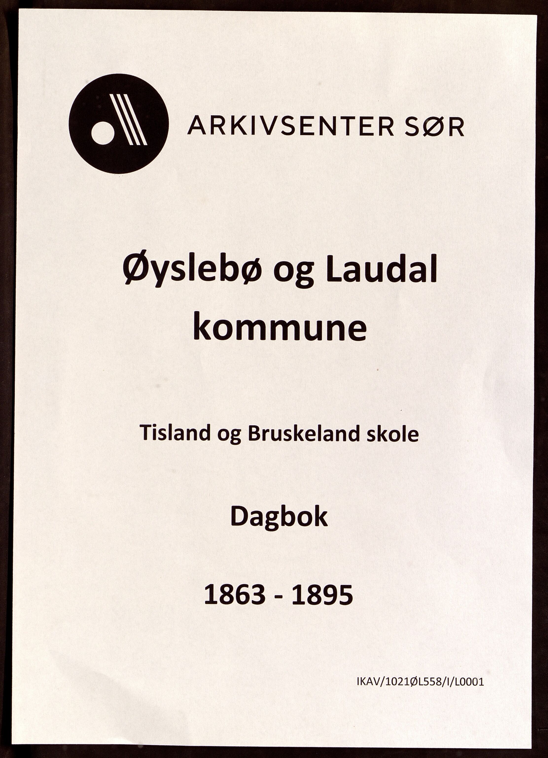 Øyslebø og Laudal kommune - Tisland Skole, ARKSOR/1021ØL558/I/L0001: Dagbok
(Bruskeland 1863 - 1888), 1863-1895