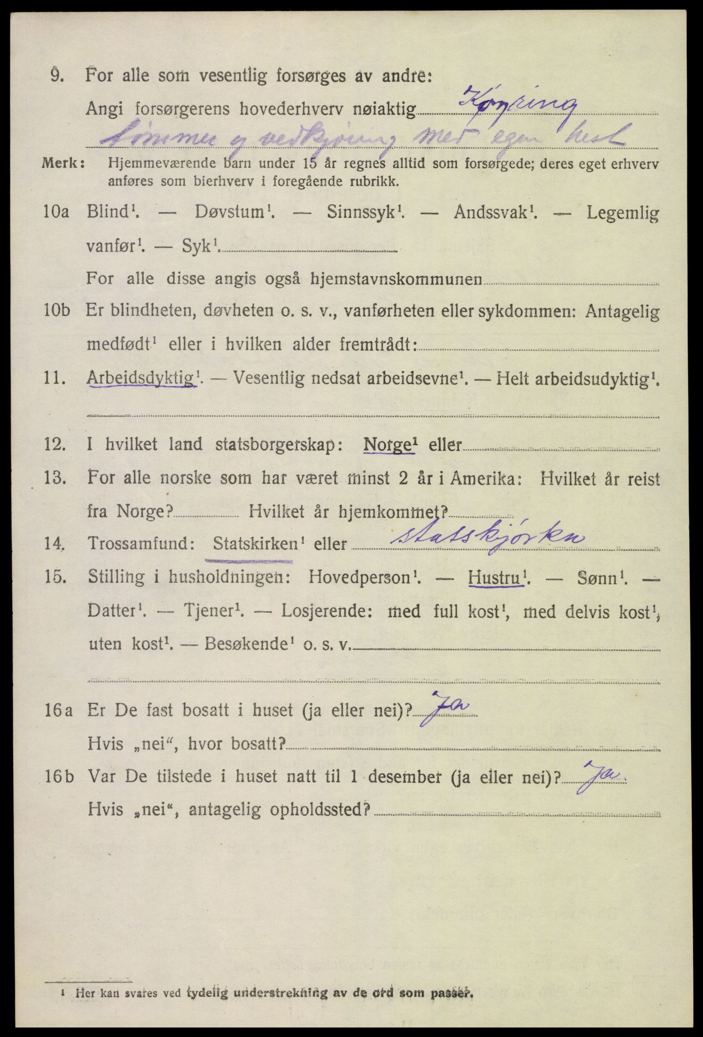 SAK, Folketelling 1920 for 0936 Hornnes herred, 1920, s. 1338