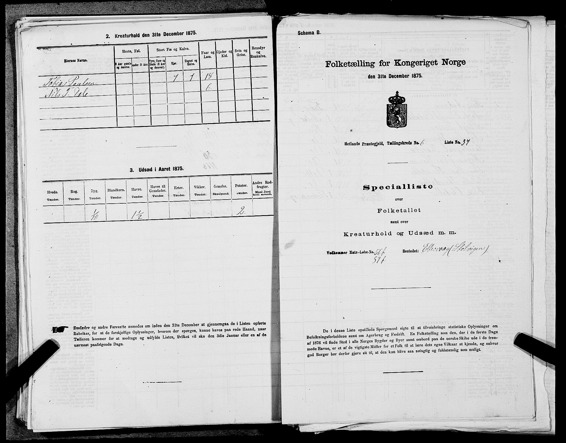 SAST, Folketelling 1875 for 1126P Hetland prestegjeld, 1875, s. 1425