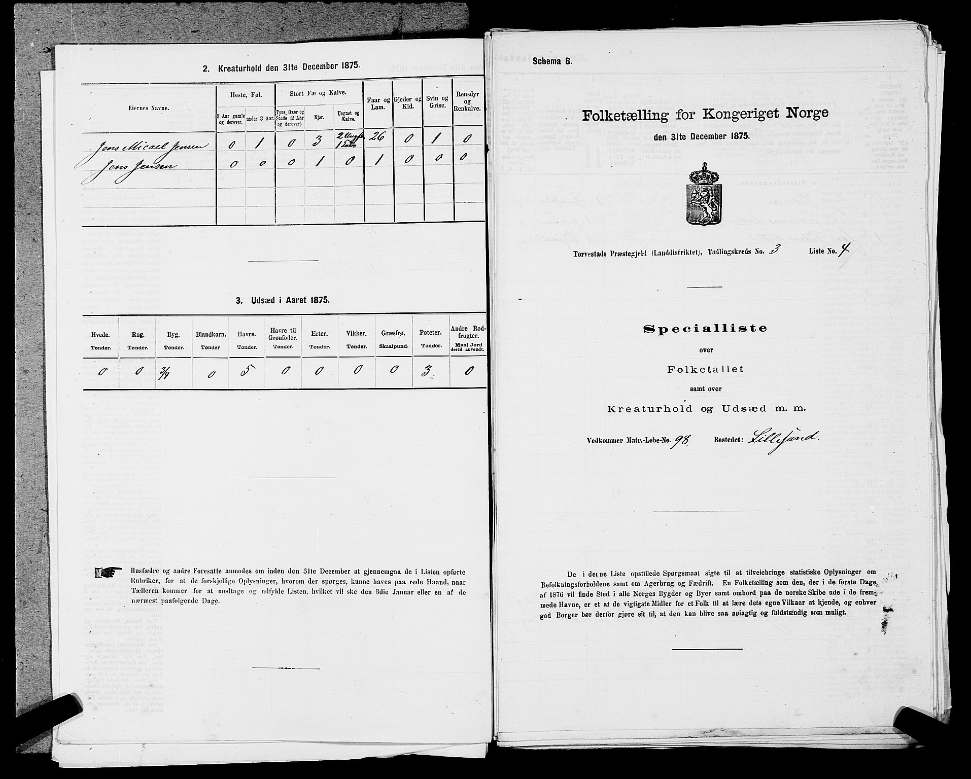 SAST, Folketelling 1875 for 1152L Torvastad prestegjeld, Torvastad sokn, Skåre sokn og Utsira sokn, 1875, s. 423