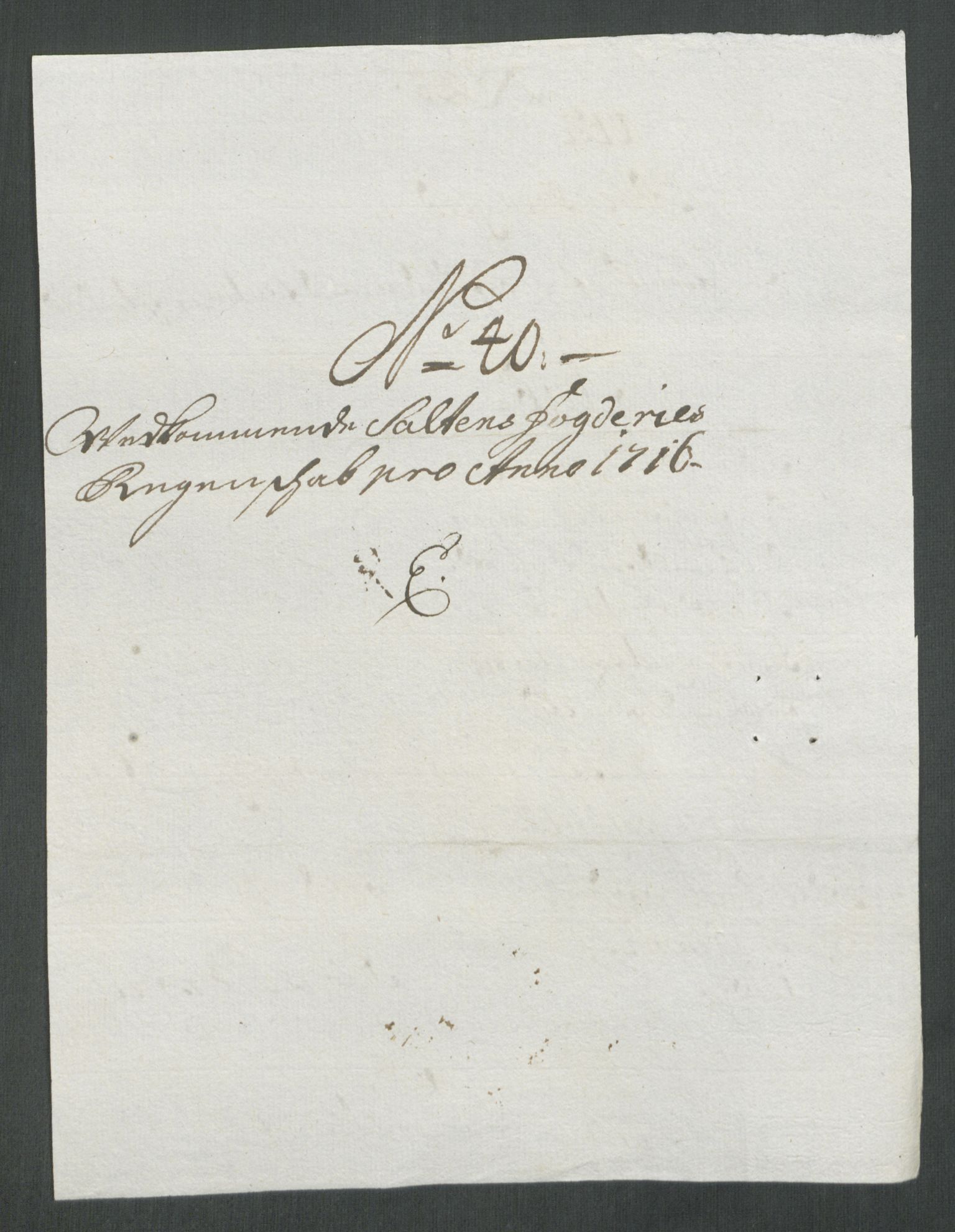 Rentekammeret inntil 1814, Reviderte regnskaper, Fogderegnskap, AV/RA-EA-4092/R66/L4586: Fogderegnskap Salten, 1716, s. 247