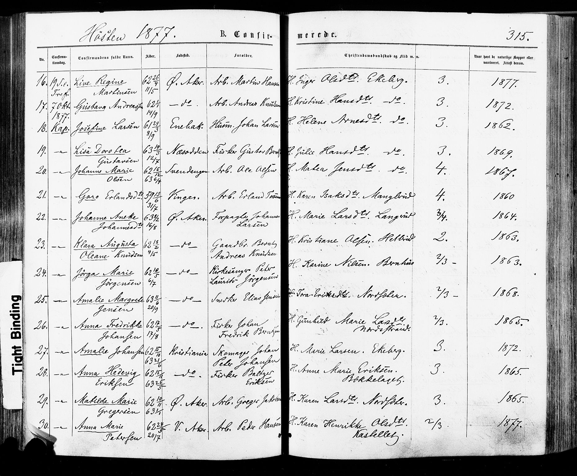 Østre Aker prestekontor Kirkebøker, AV/SAO-A-10840/F/Fa/L0004: Ministerialbok nr. I 4, 1876-1889, s. 315