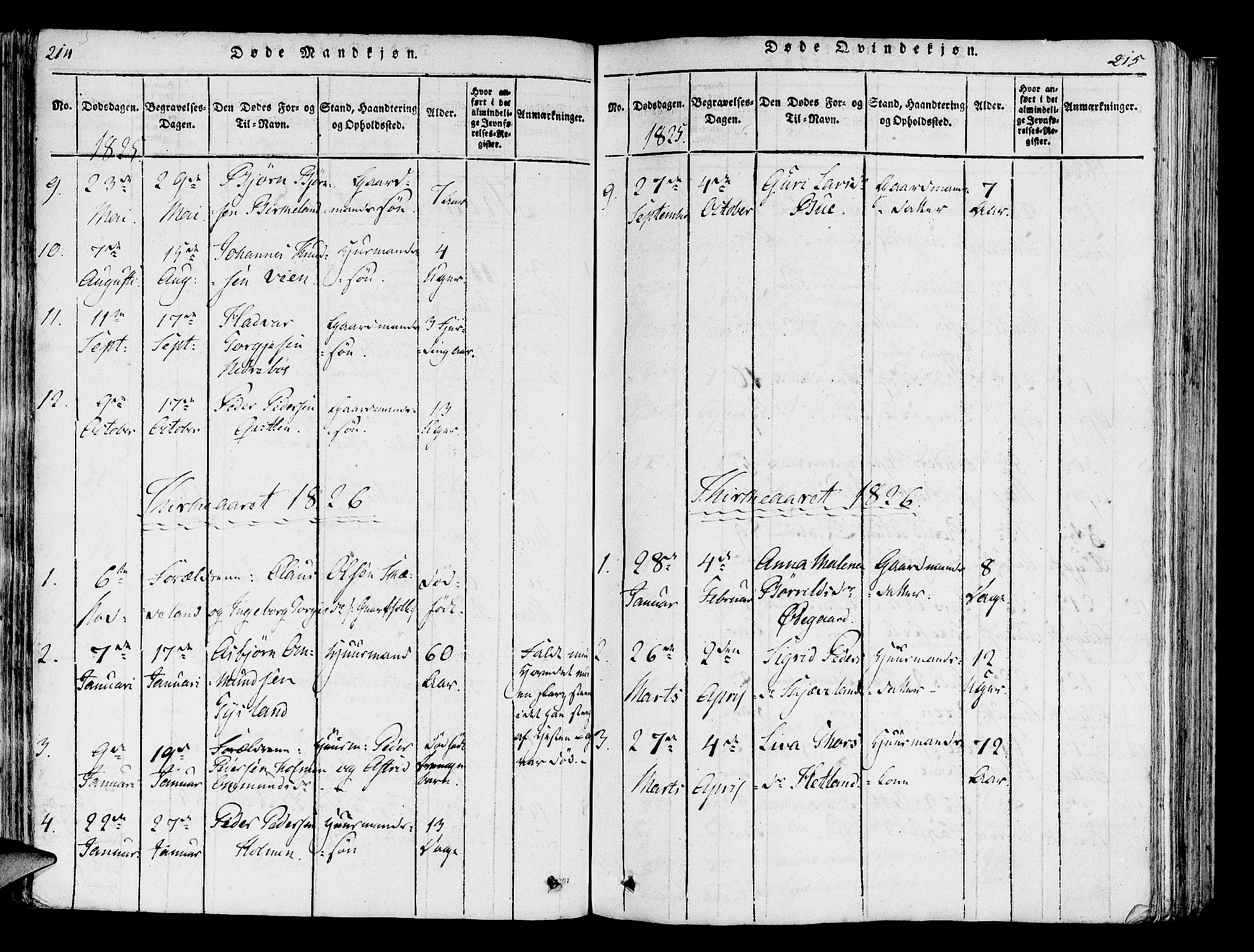 Helleland sokneprestkontor, SAST/A-101810: Ministerialbok nr. A 5, 1815-1834, s. 214-215