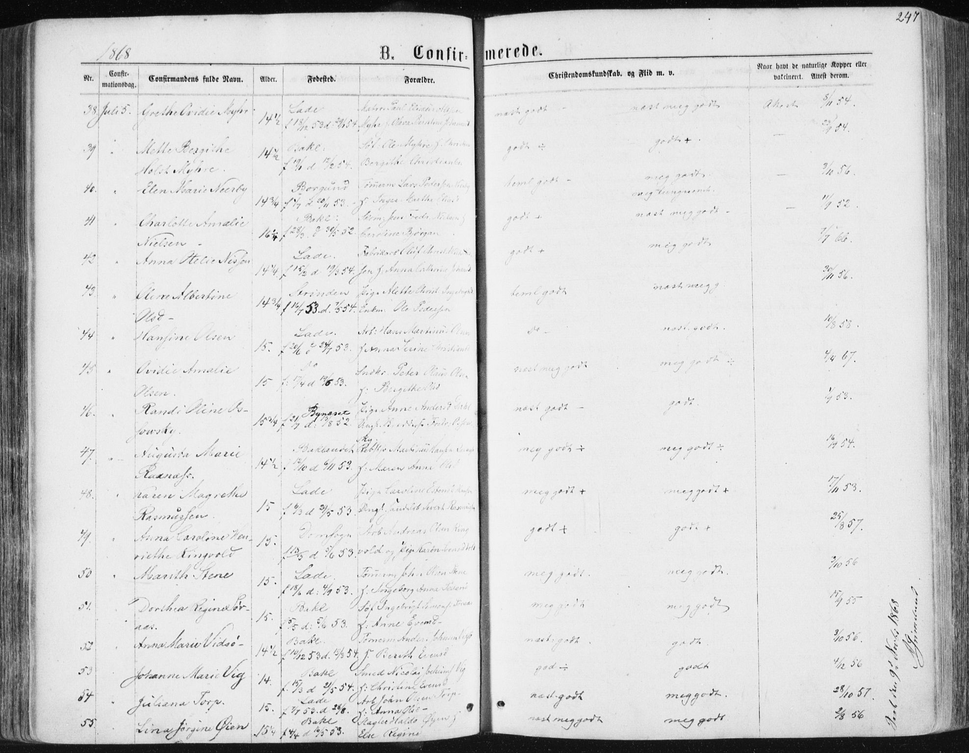 Ministerialprotokoller, klokkerbøker og fødselsregistre - Sør-Trøndelag, SAT/A-1456/604/L0186: Ministerialbok nr. 604A07, 1866-1877, s. 247