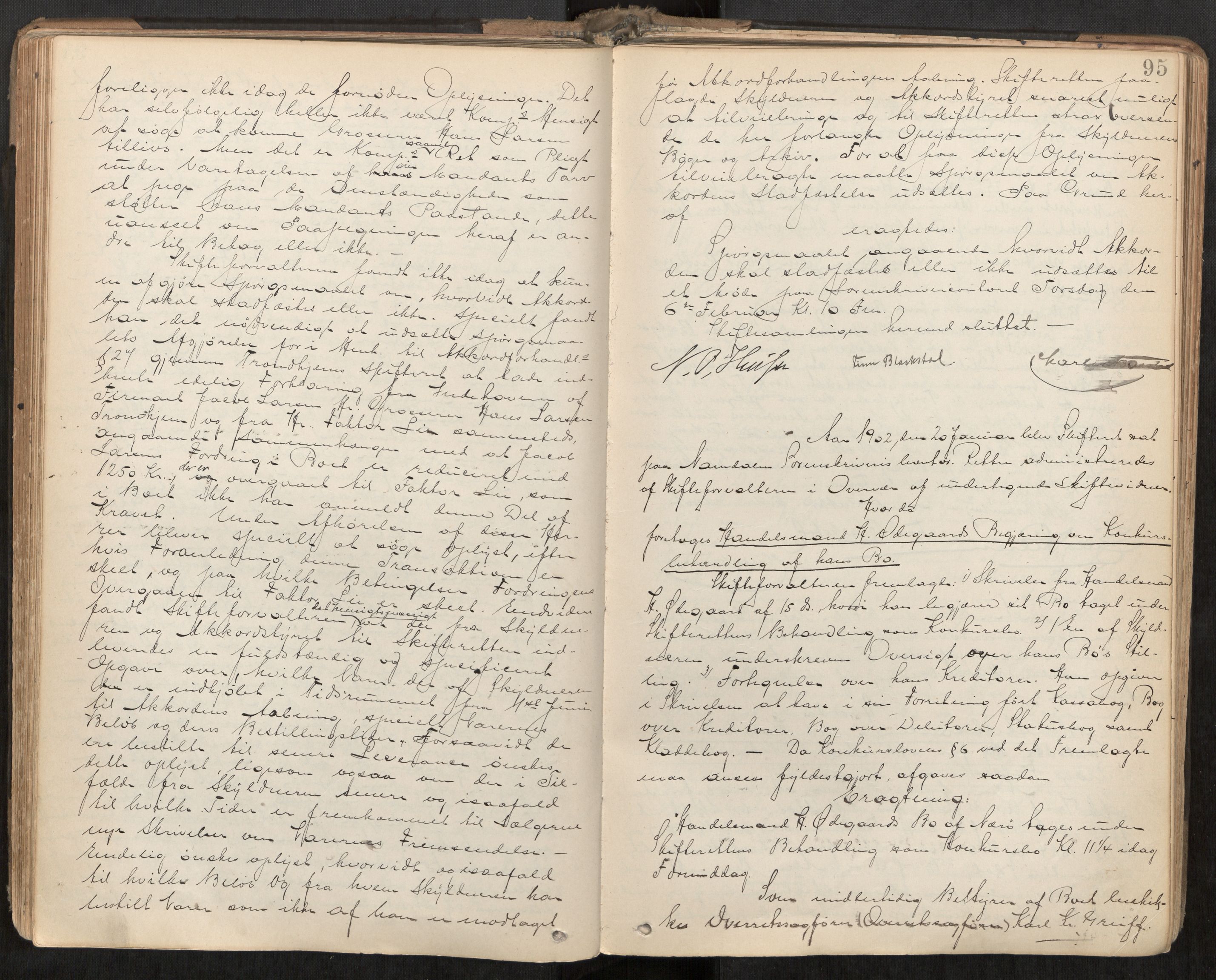Namdal sorenskriveri, AV/SAT-A-4133/1/3/3B/L0007: Skiftebehandlingsprotokoll, 1899-1905, s. 95