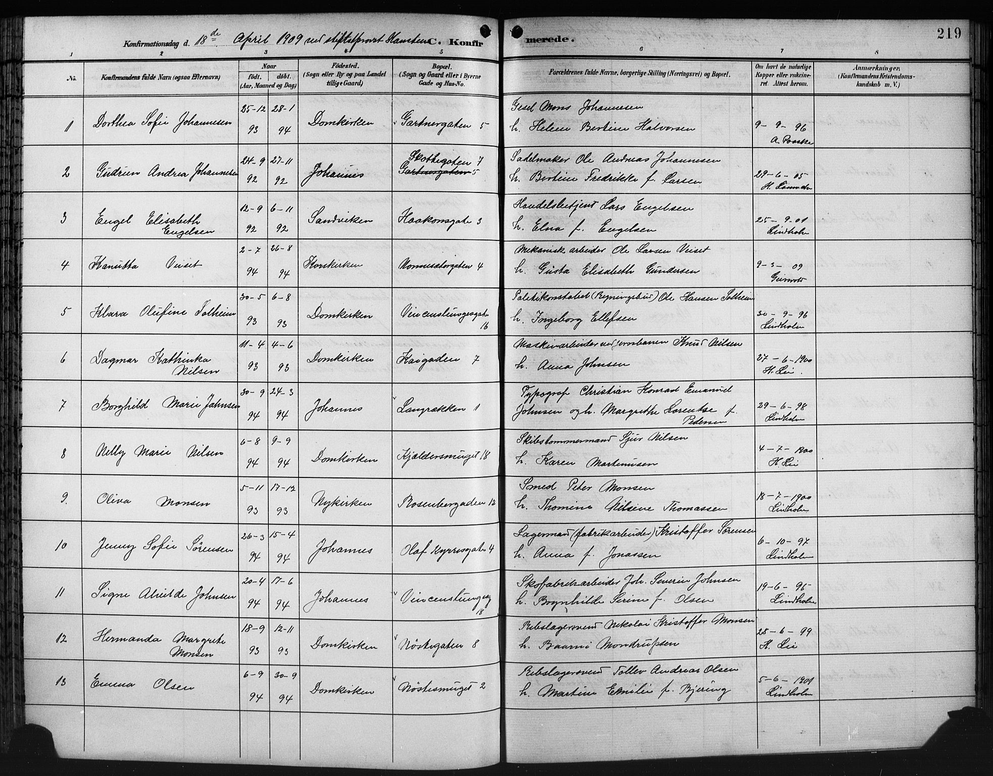 Domkirken sokneprestembete, AV/SAB-A-74801/H/Hab/L0025: Klokkerbok nr. C 5, 1899-1916, s. 219