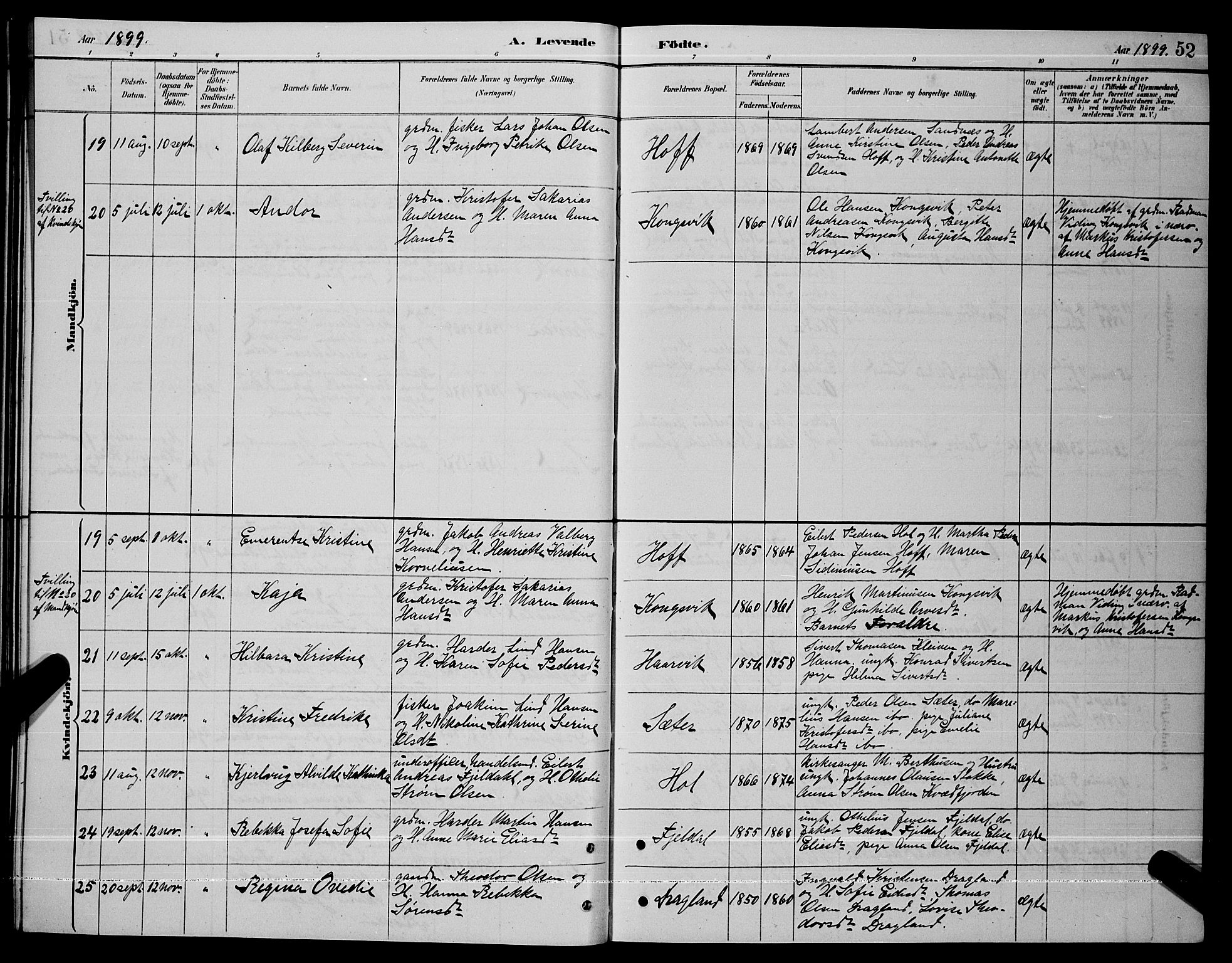 Ministerialprotokoller, klokkerbøker og fødselsregistre - Nordland, AV/SAT-A-1459/865/L0931: Klokkerbok nr. 865C03, 1885-1901, s. 52