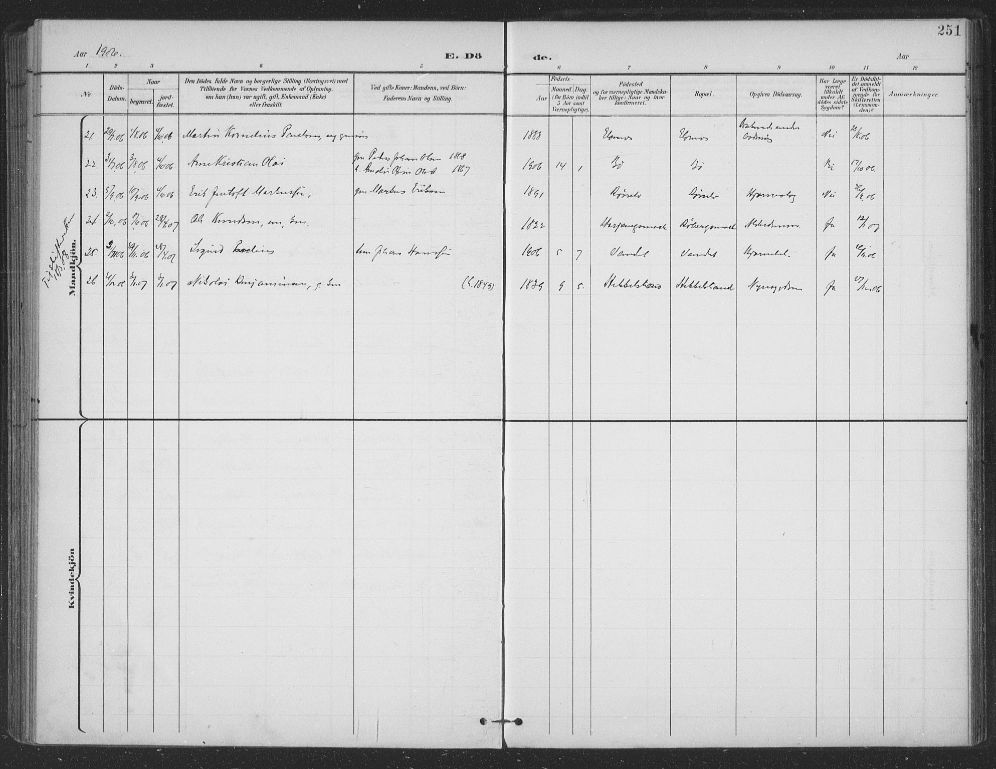 Ministerialprotokoller, klokkerbøker og fødselsregistre - Nordland, SAT/A-1459/863/L0899: Ministerialbok nr. 863A11, 1897-1906, s. 251