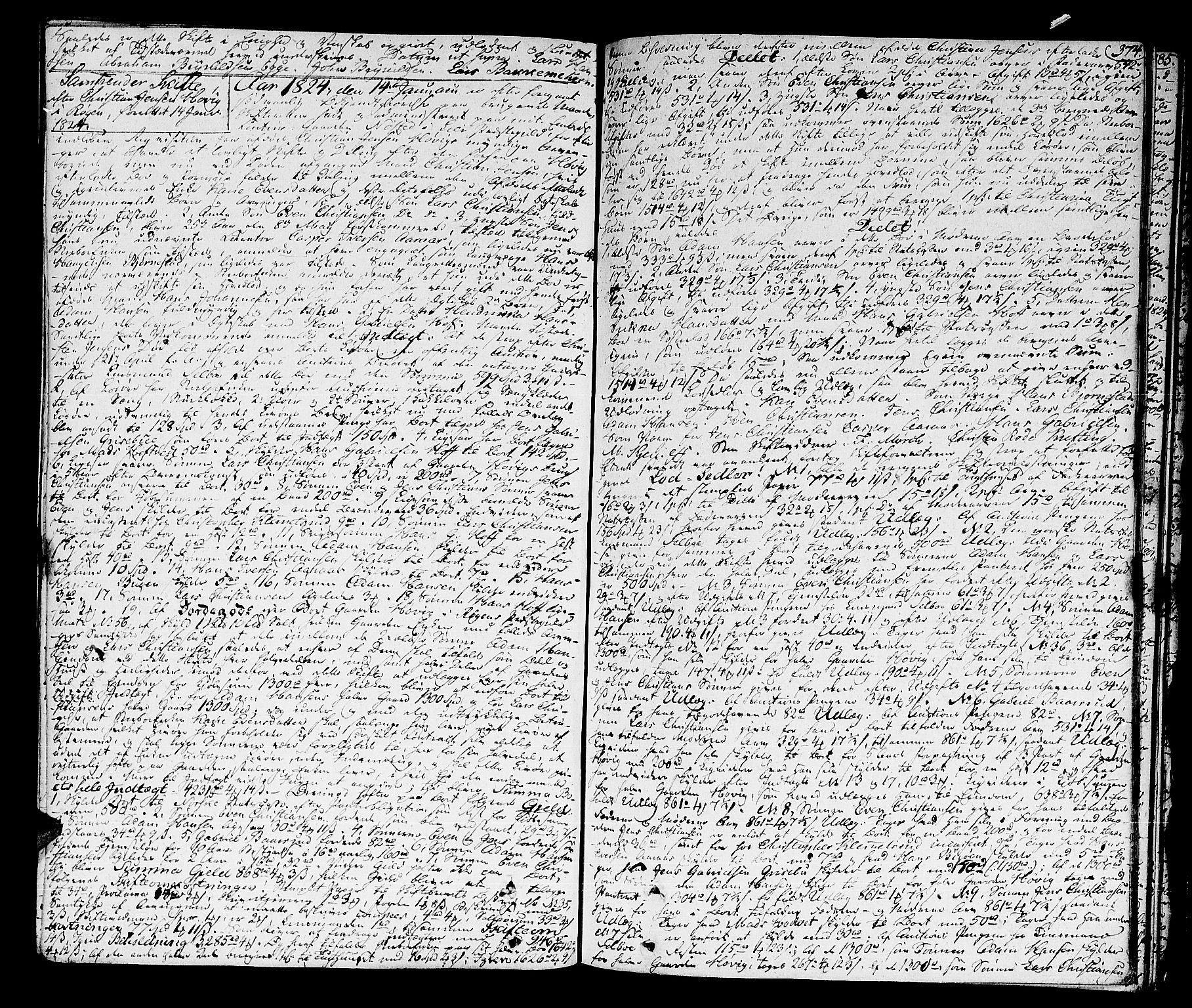 Lier, Røyken og Hurum sorenskriveri, SAKO/A-89/H/Hc/L0010a: Skifteprotokoll, 1813-1835, s. 373b-374a