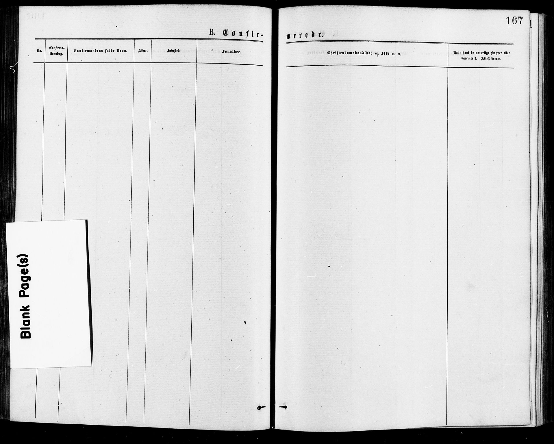 Gamle Aker prestekontor Kirkebøker, SAO/A-10617a/F/L0005: Ministerialbok nr. 5, 1873-1881, s. 167