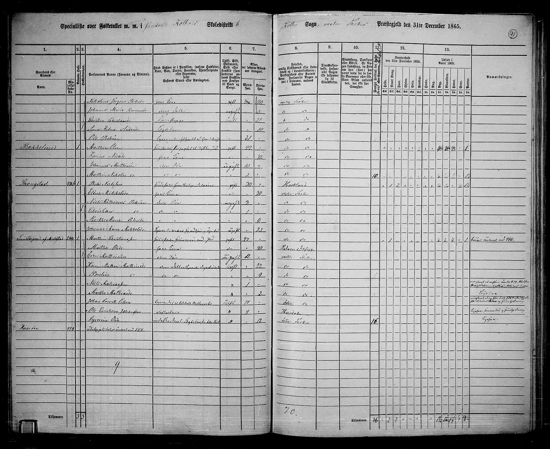 RA, Folketelling 1865 for 0529P Vestre Toten prestegjeld, 1865, s. 245