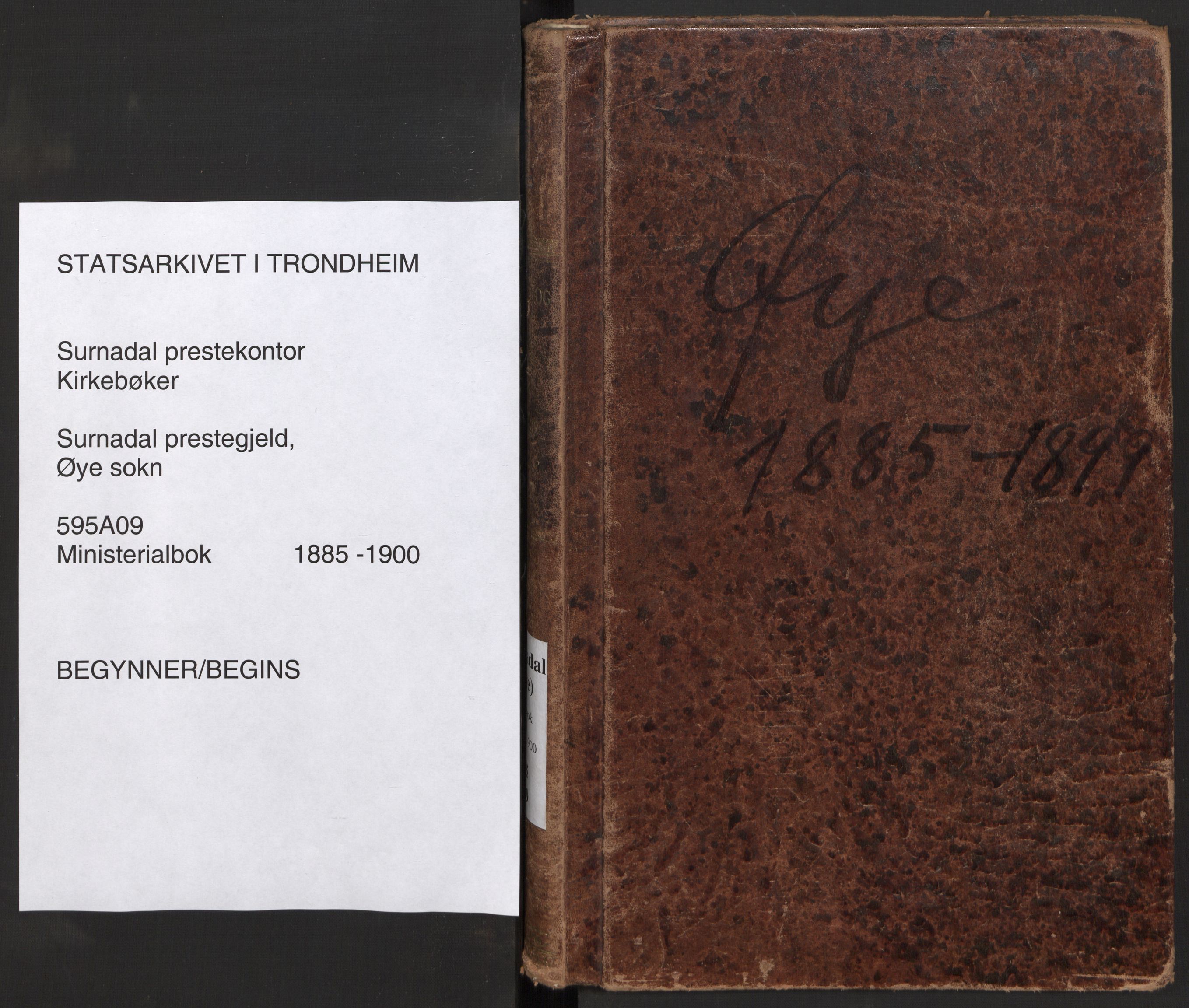 Ministerialprotokoller, klokkerbøker og fødselsregistre - Møre og Romsdal, AV/SAT-A-1454/595/L1047: Ministerialbok nr. 595A09, 1885-1900