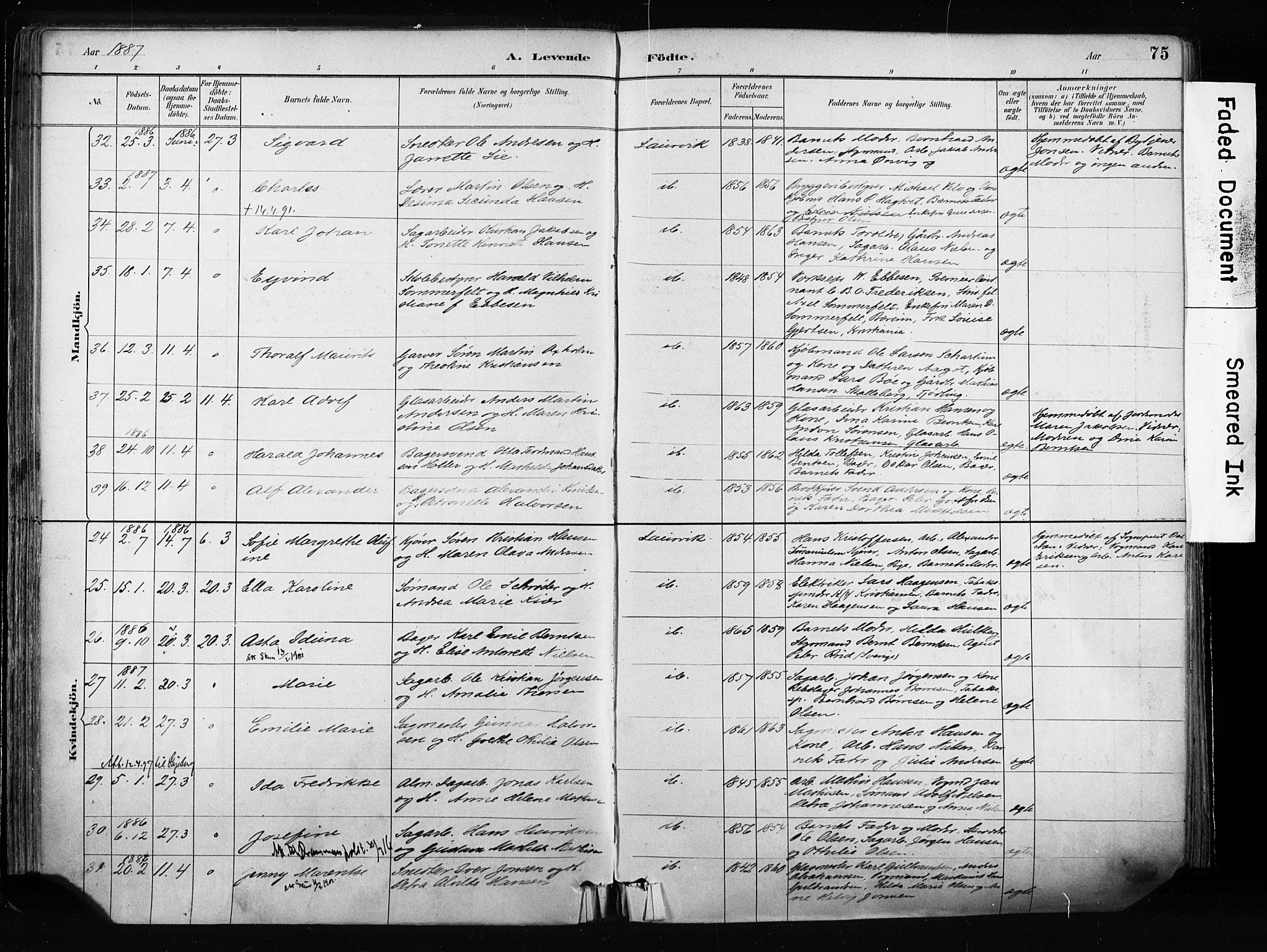 Larvik kirkebøker, AV/SAKO-A-352/F/Fa/L0009: Ministerialbok nr. I 9, 1884-1904, s. 75
